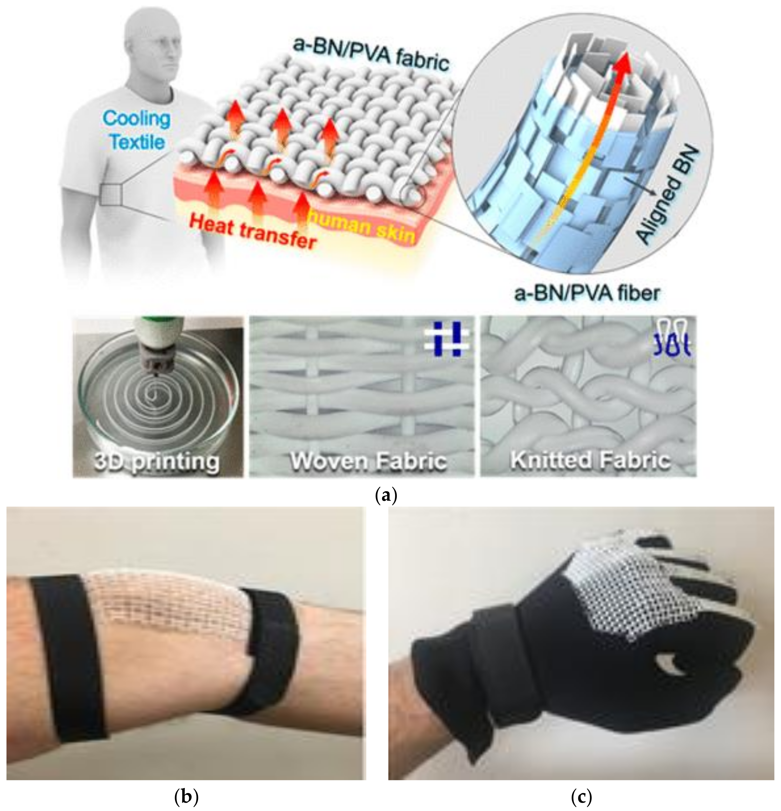 Coatings 12 00267 g002 550