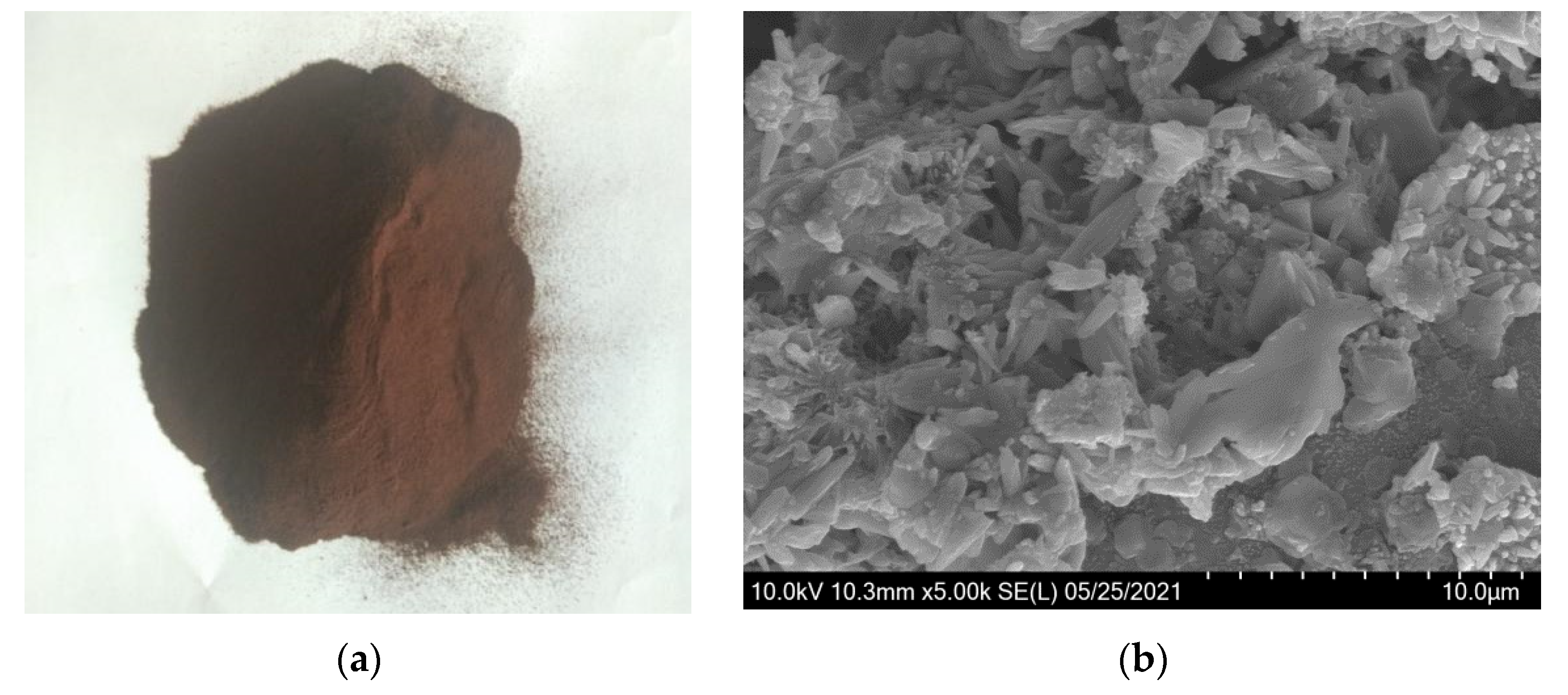 Coatings 12 00268 g002