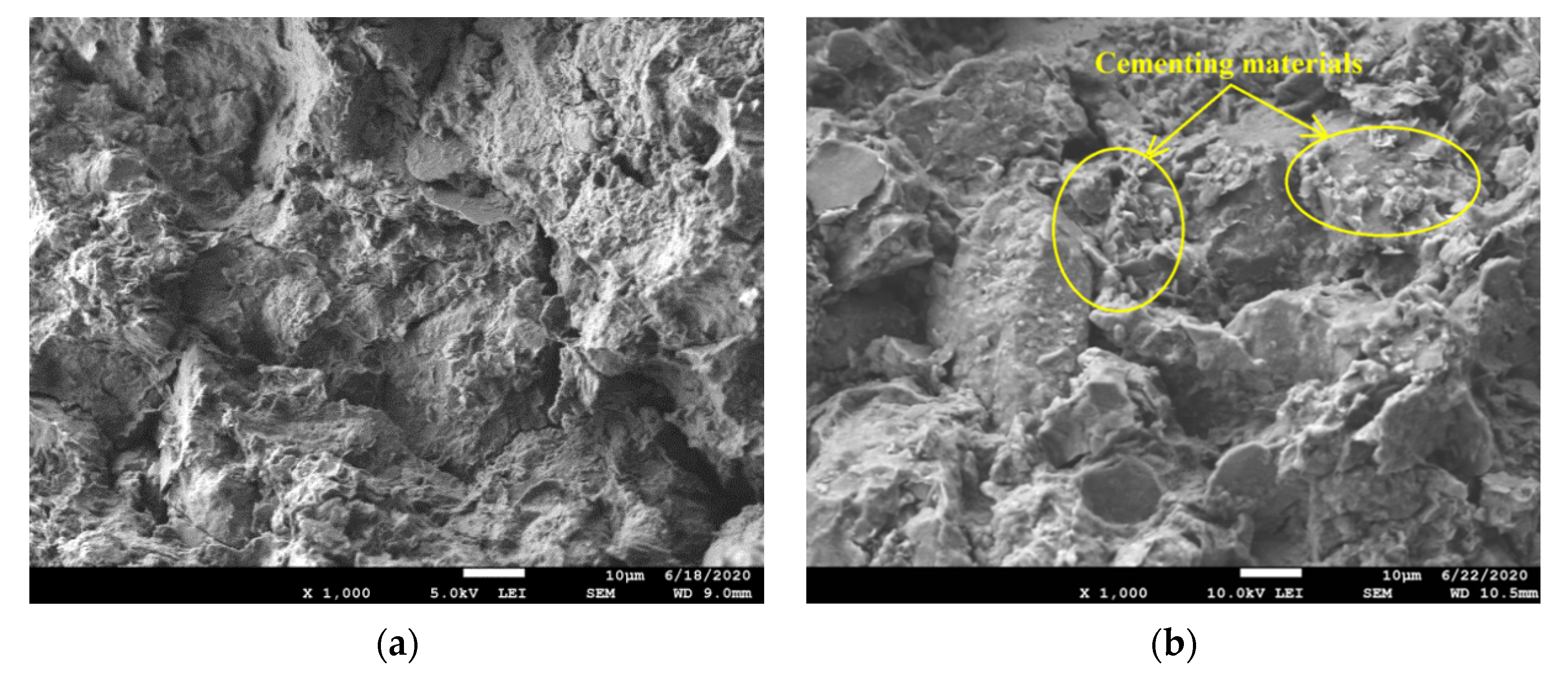 Coatings 12 00268 g007a