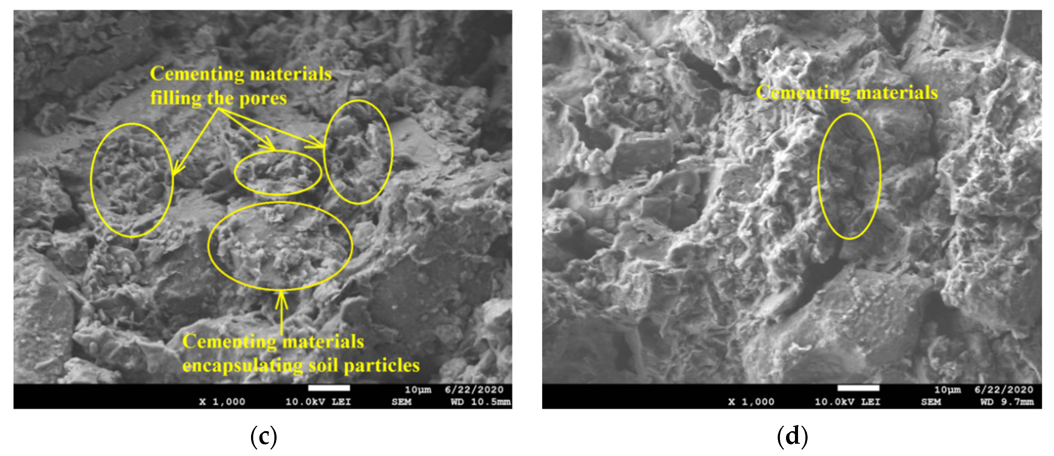 Coatings 12 00268 g007b