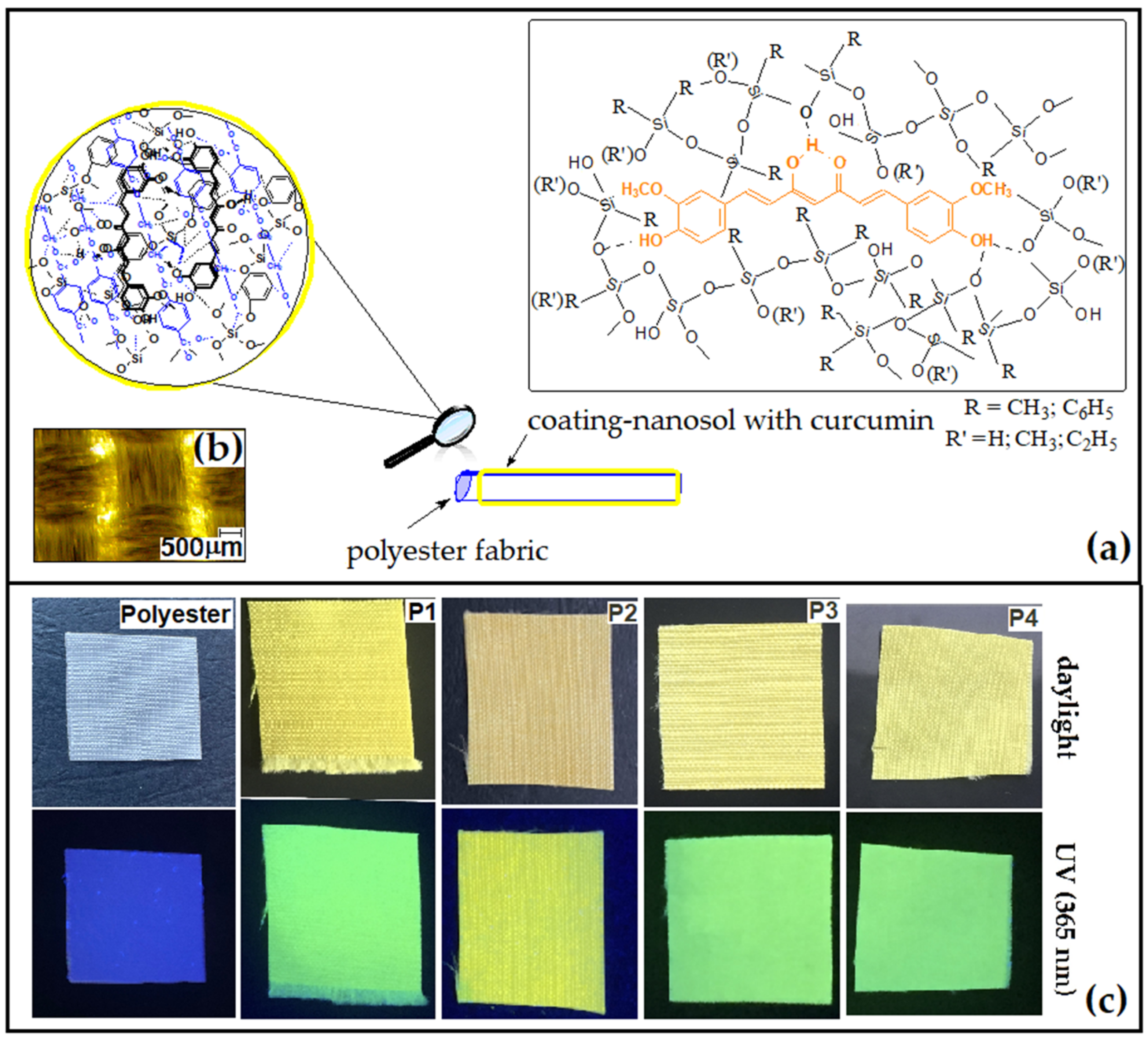 Coatings 12 00271 g002 550