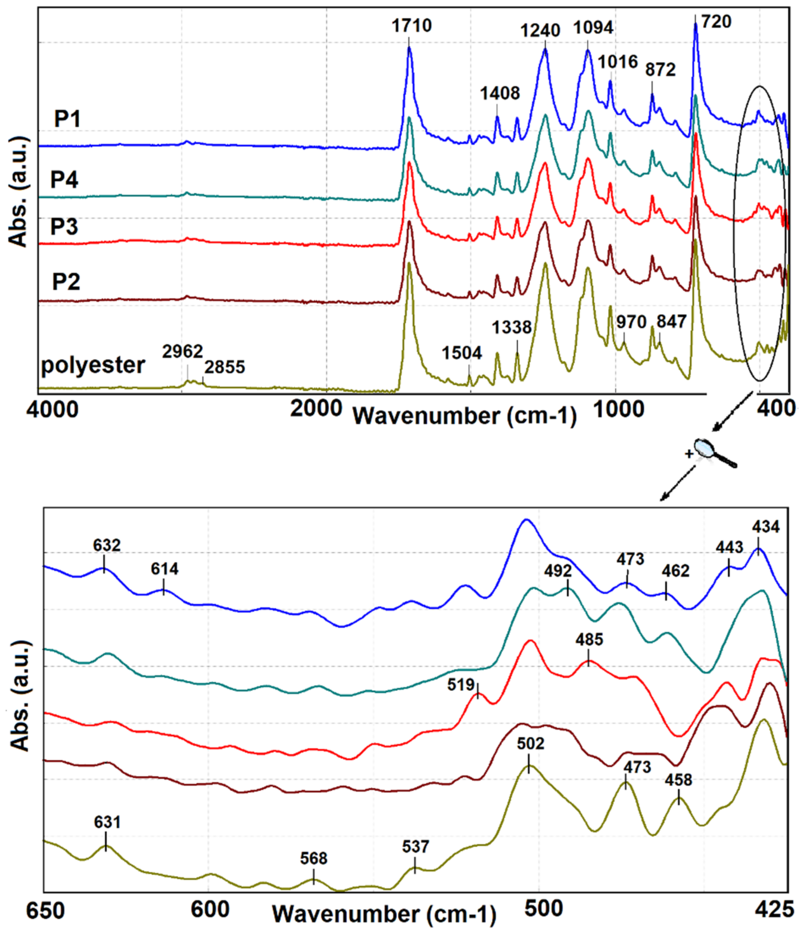 Coatings 12 00271 g003 550
