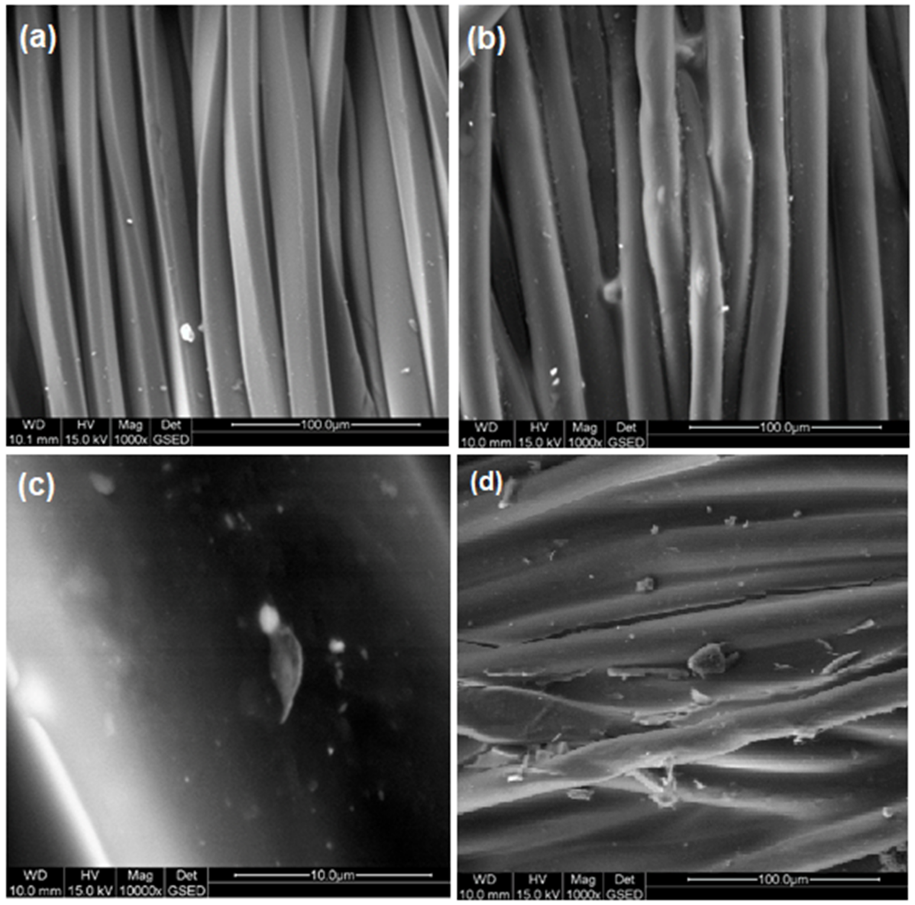 Coatings 12 00271 g004 550