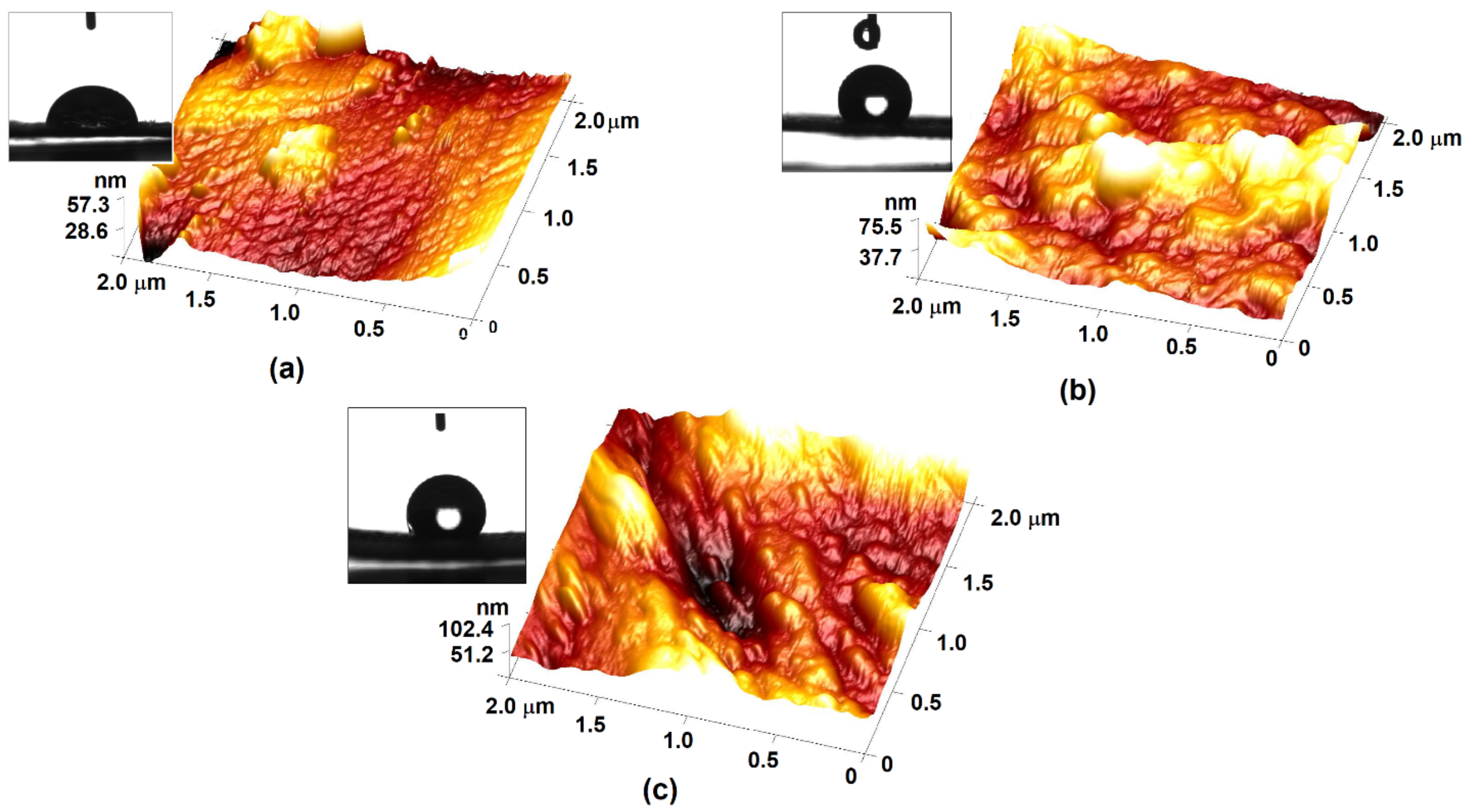 Coatings 12 00271 g005 550