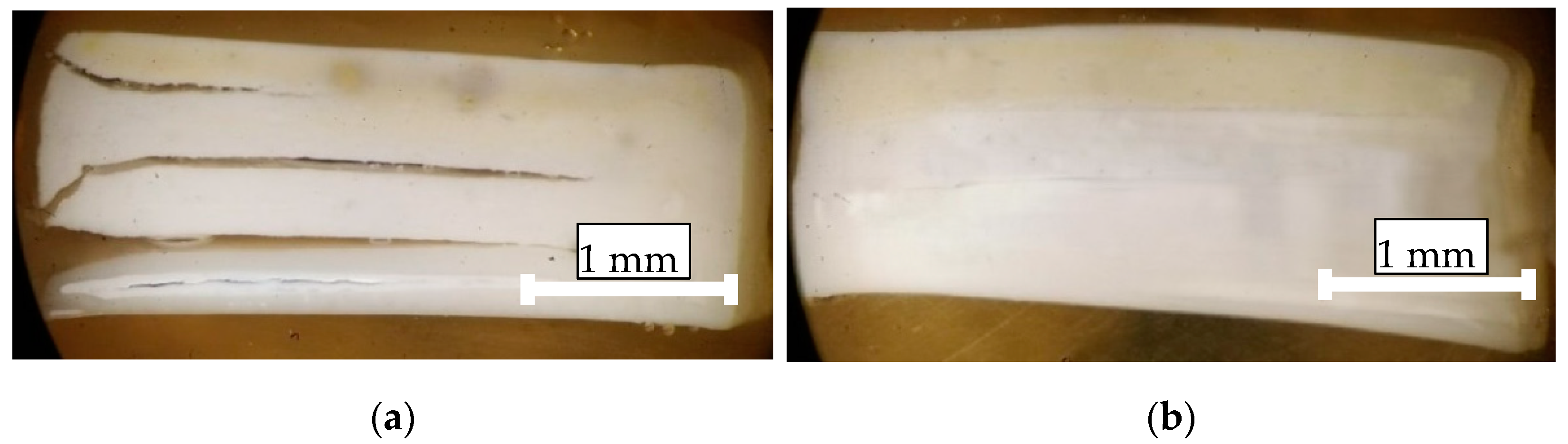 Coatings 12 00278 g007 550
