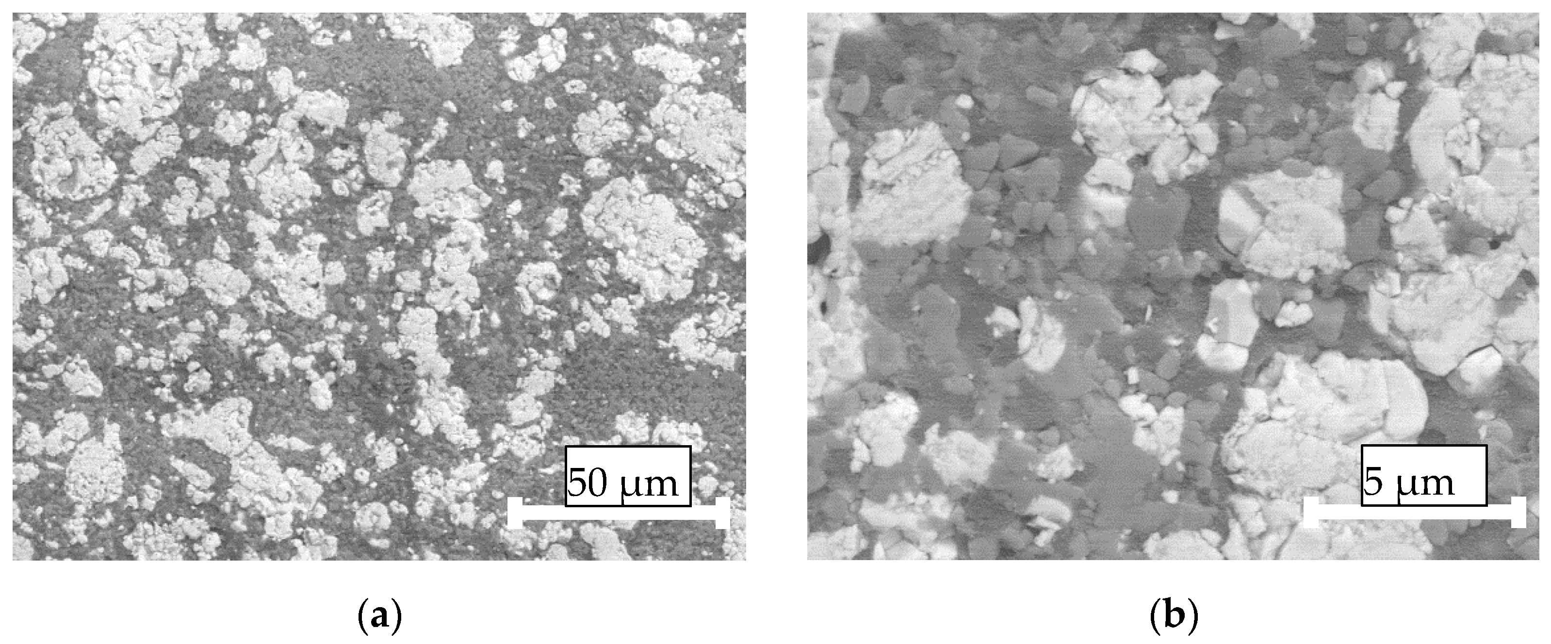 Coatings 12 00278 g008 550