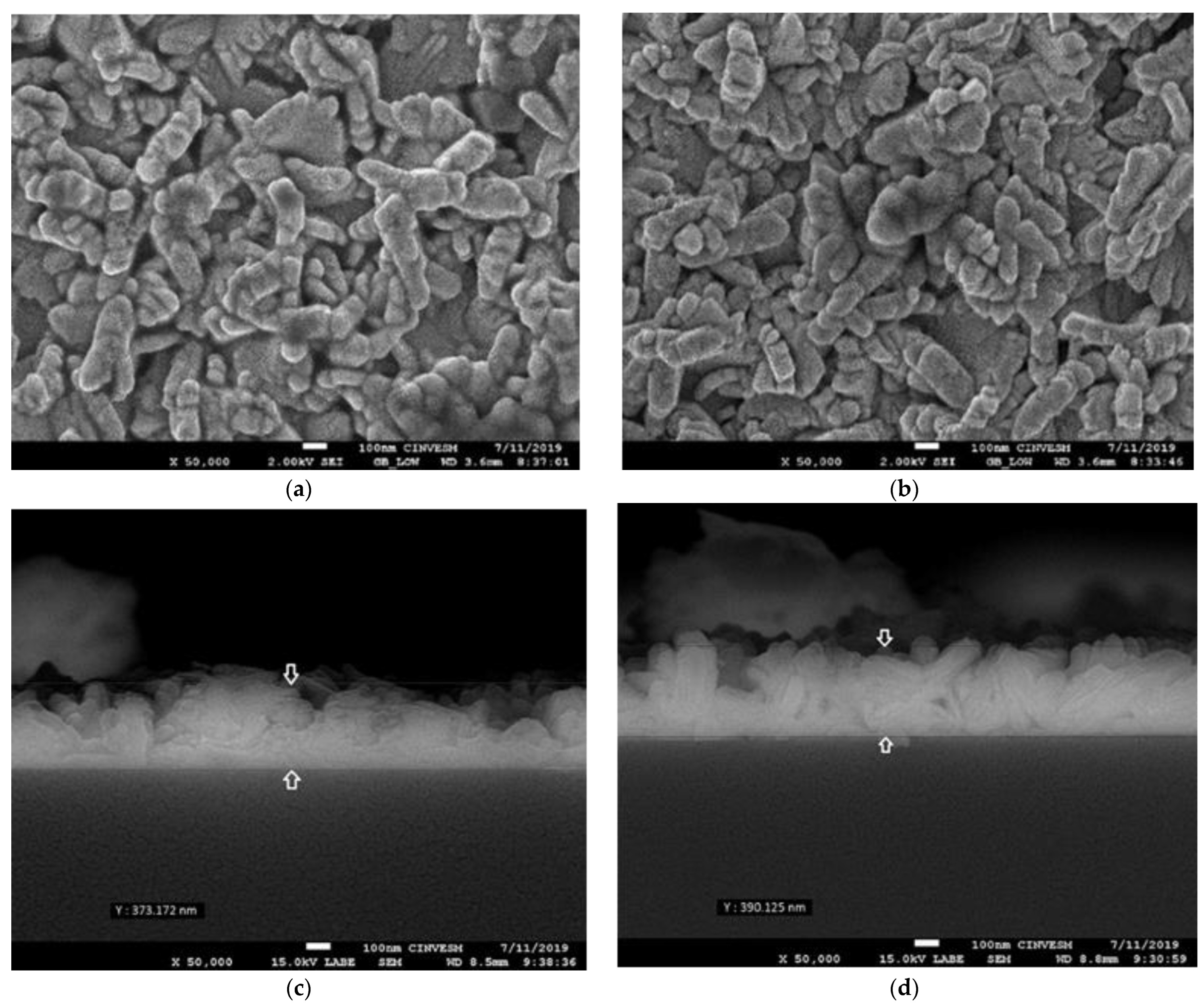 Coatings 12 00283 g002 550