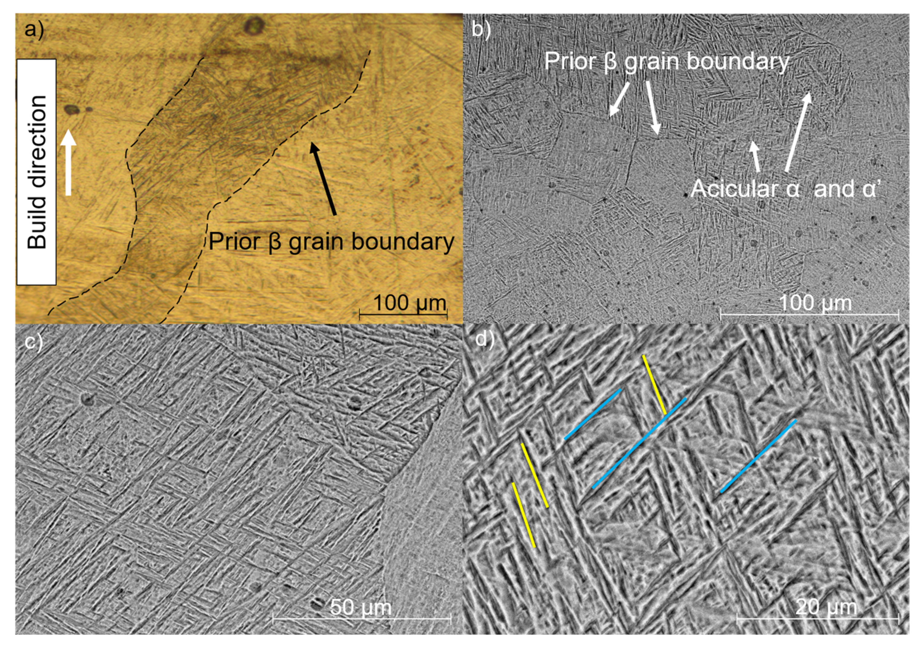 Coatings 12 00284 g008