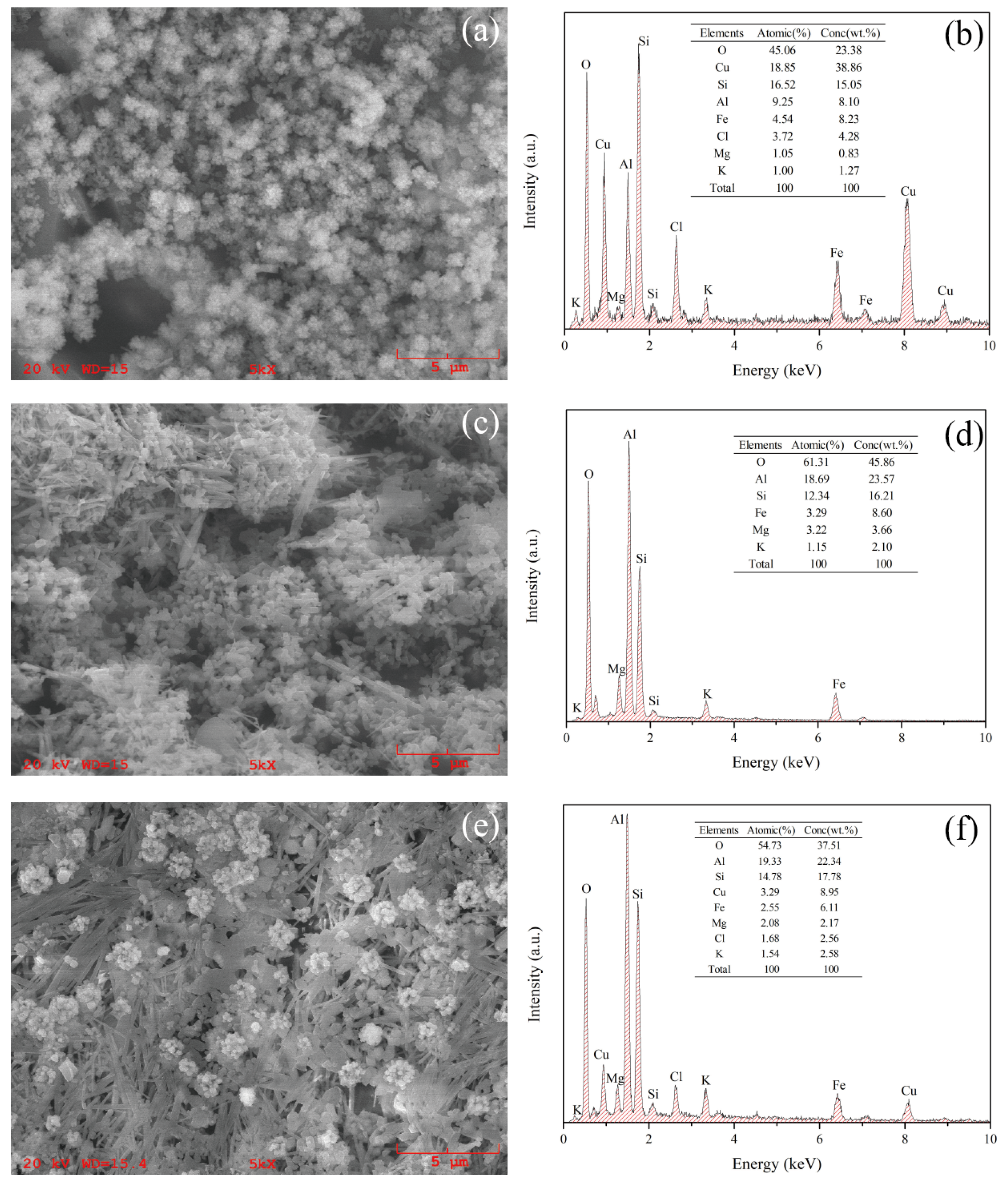 Coatings 12 00286 g003