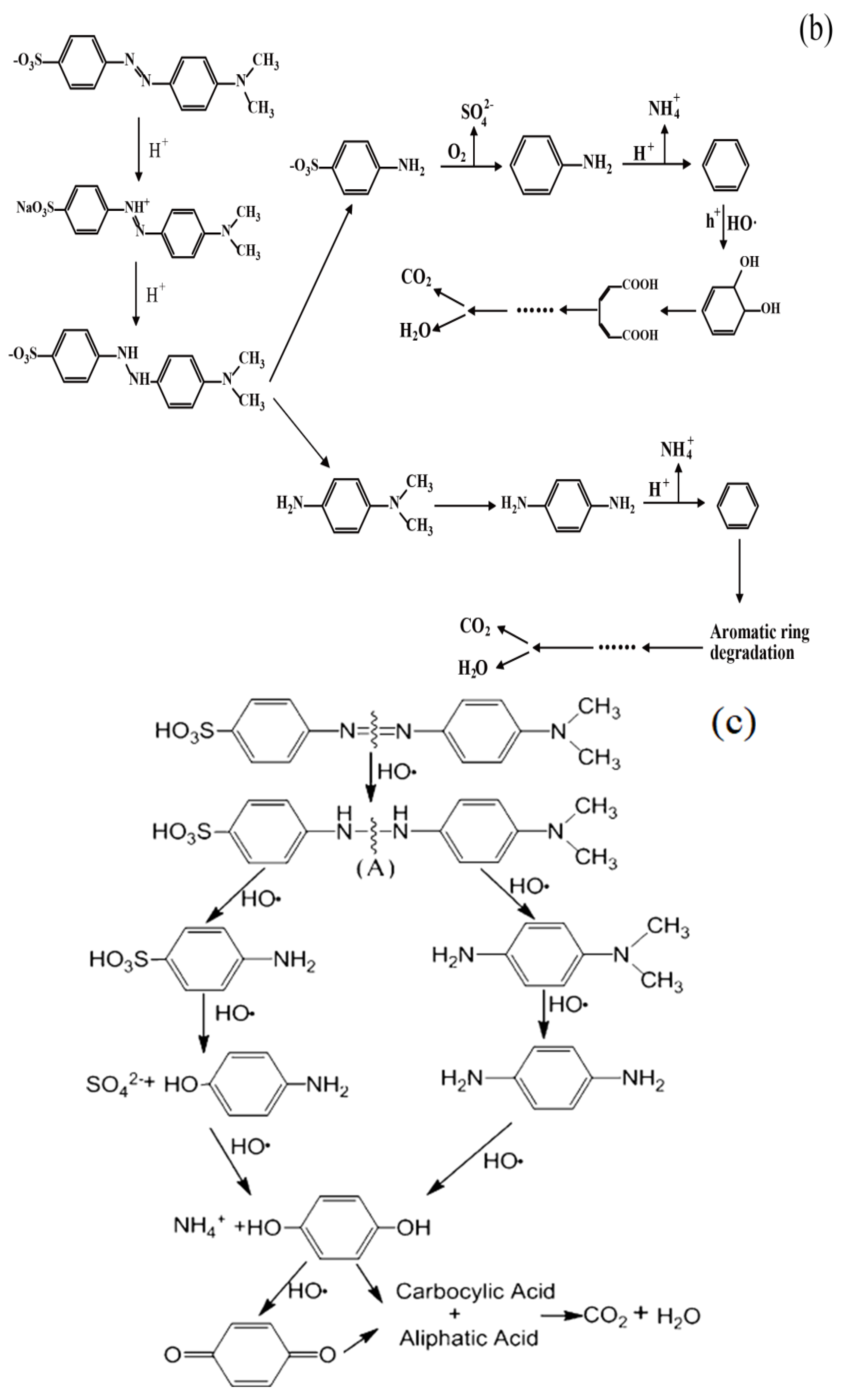 Coatings 12 00286 g012b
