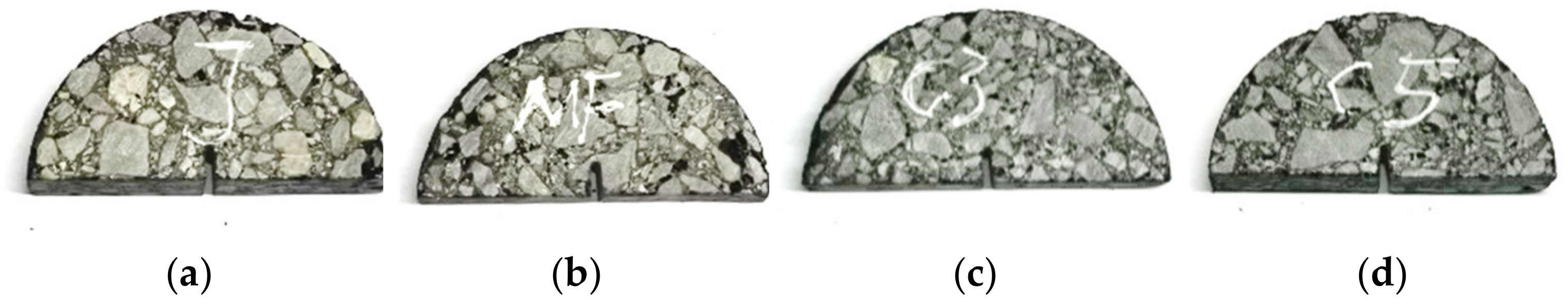 Coatings 12 00287 g001 550