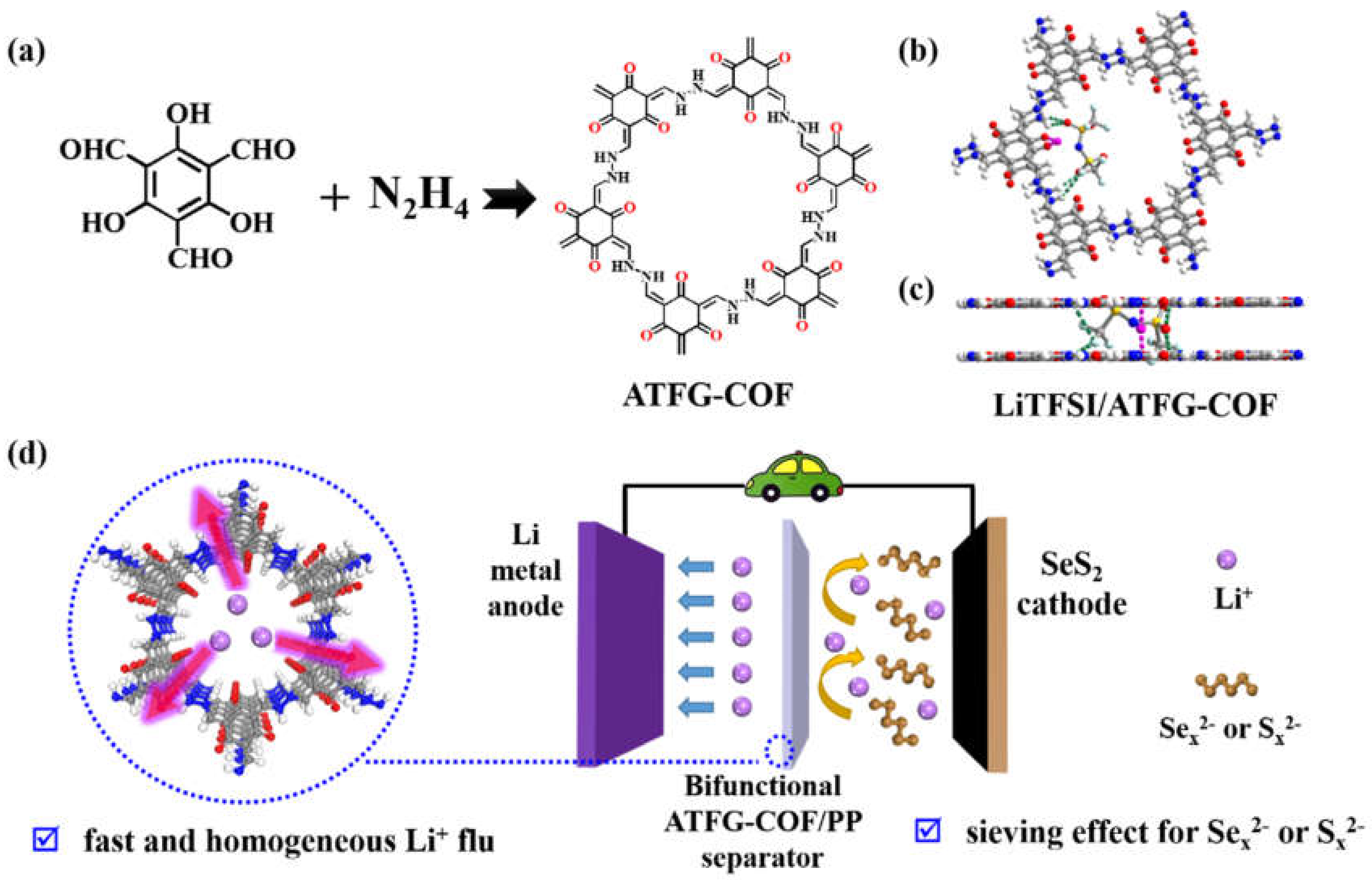 Coatings 12 00289 g001