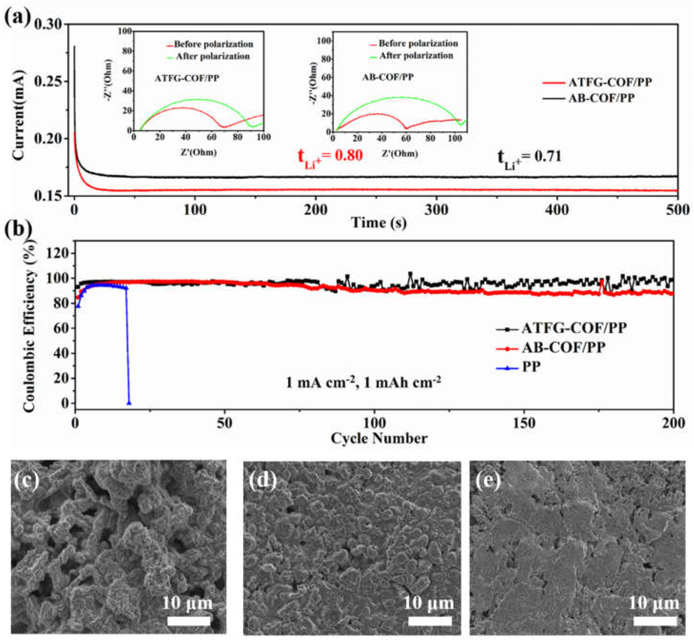 Coatings 12 00289 g003
