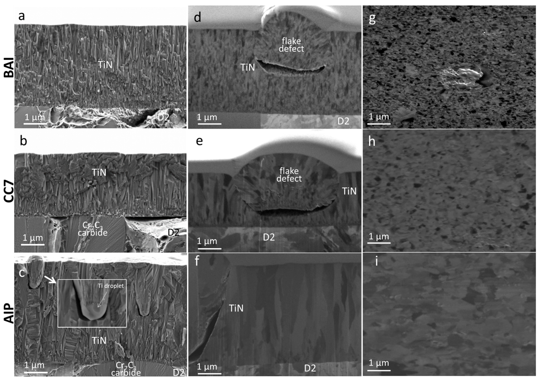 Coatings 12 00294 g001