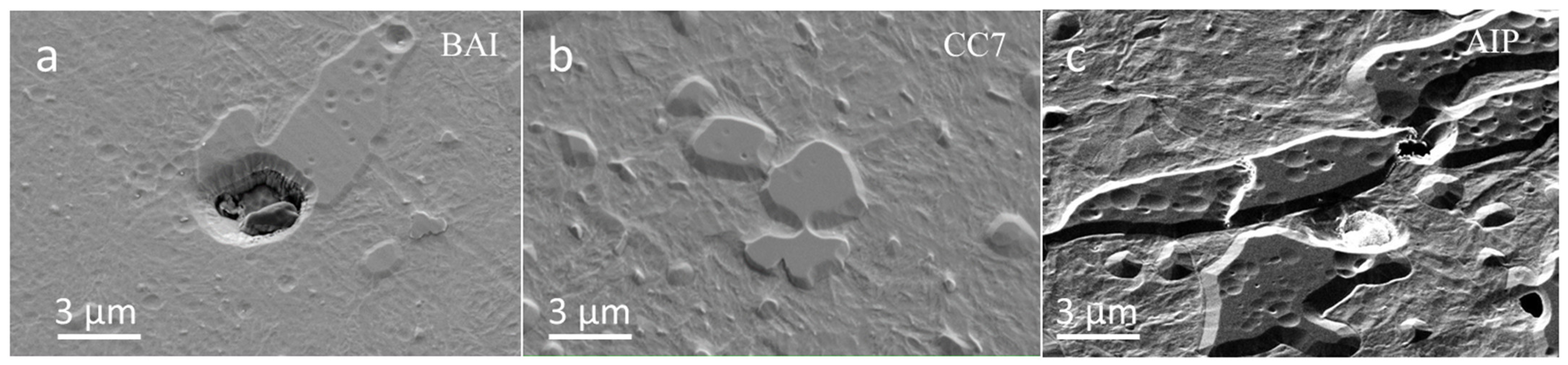 Coatings 12 00294 g002