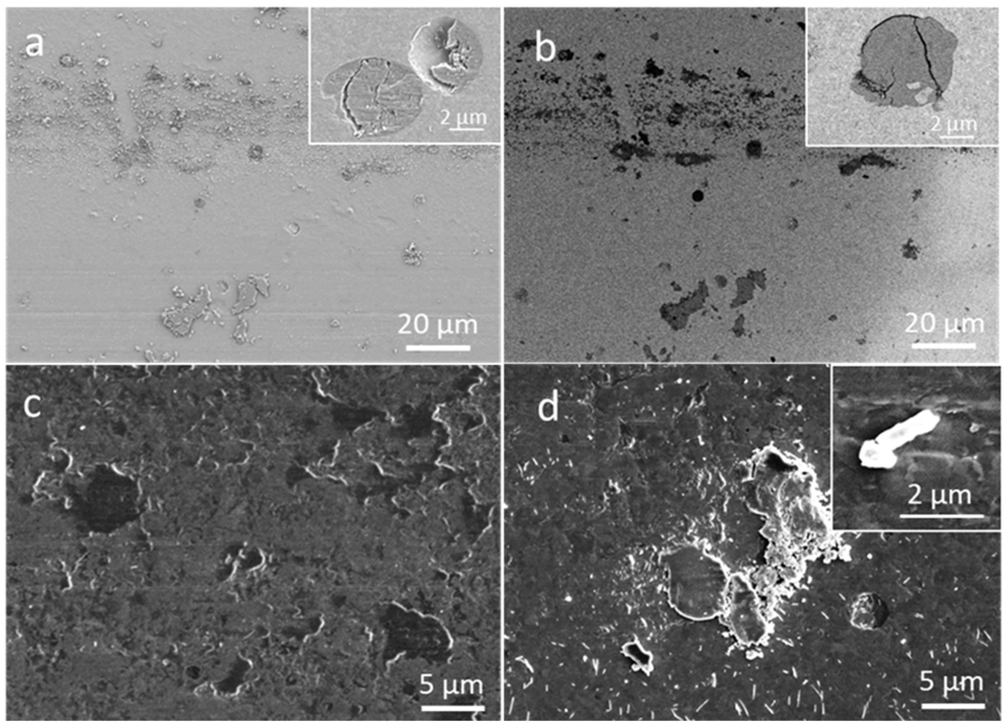 Coatings 12 00294 g015