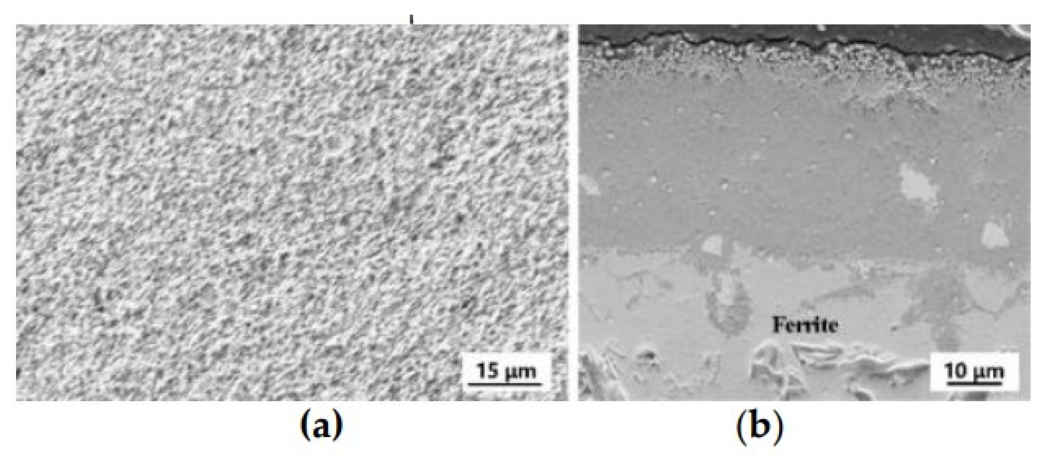 Coatings 12 00298 g004 550