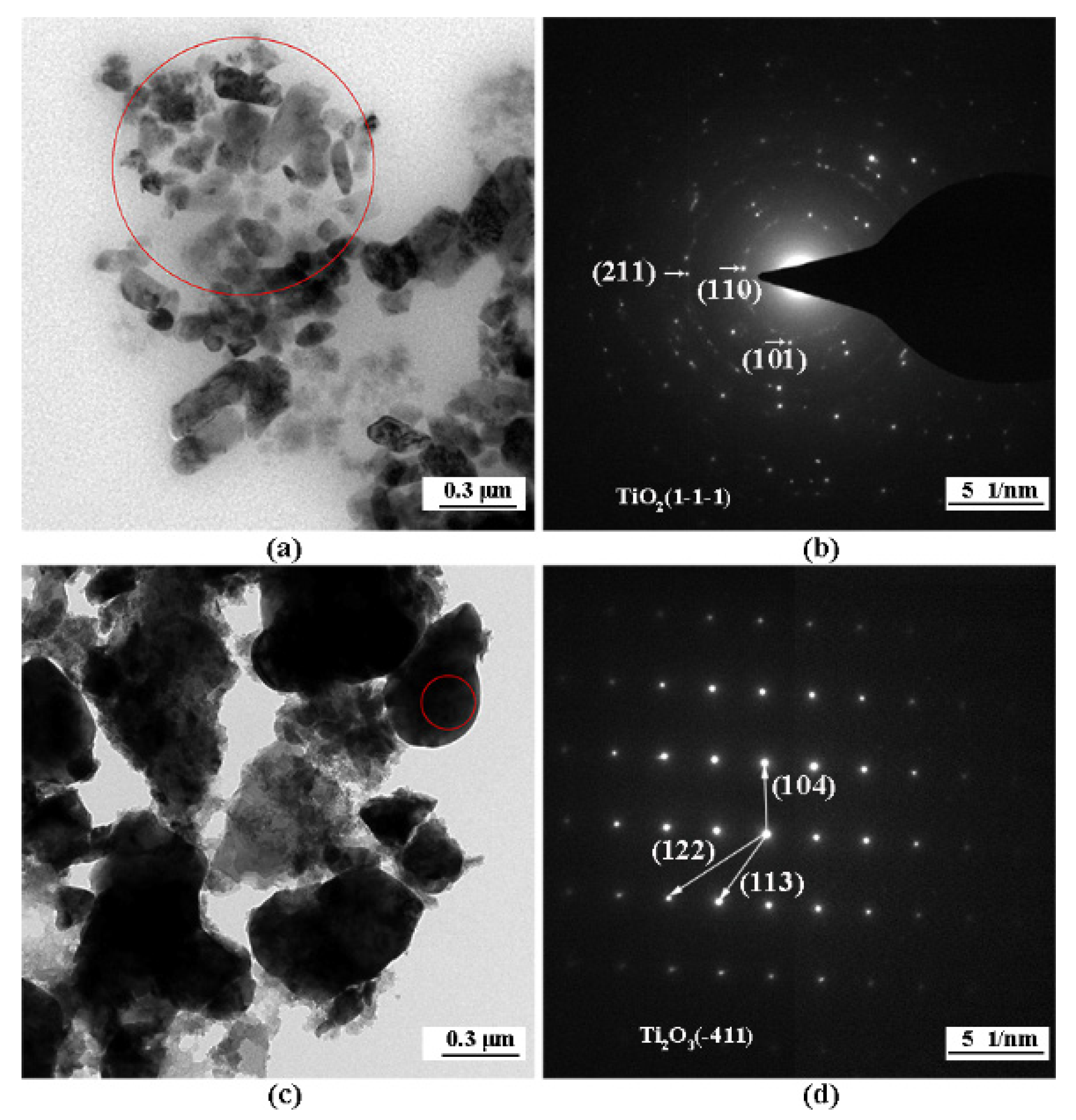 Coatings 12 00298 g008 550