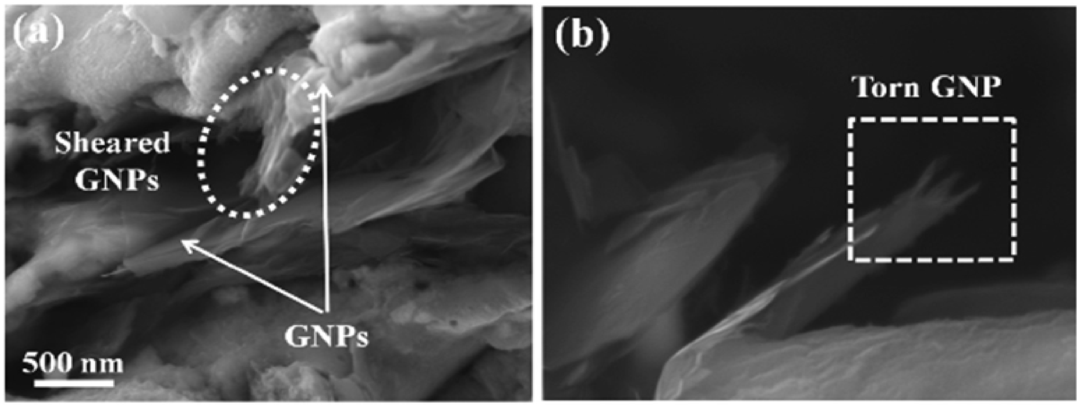 Coatings 12 00299 g004