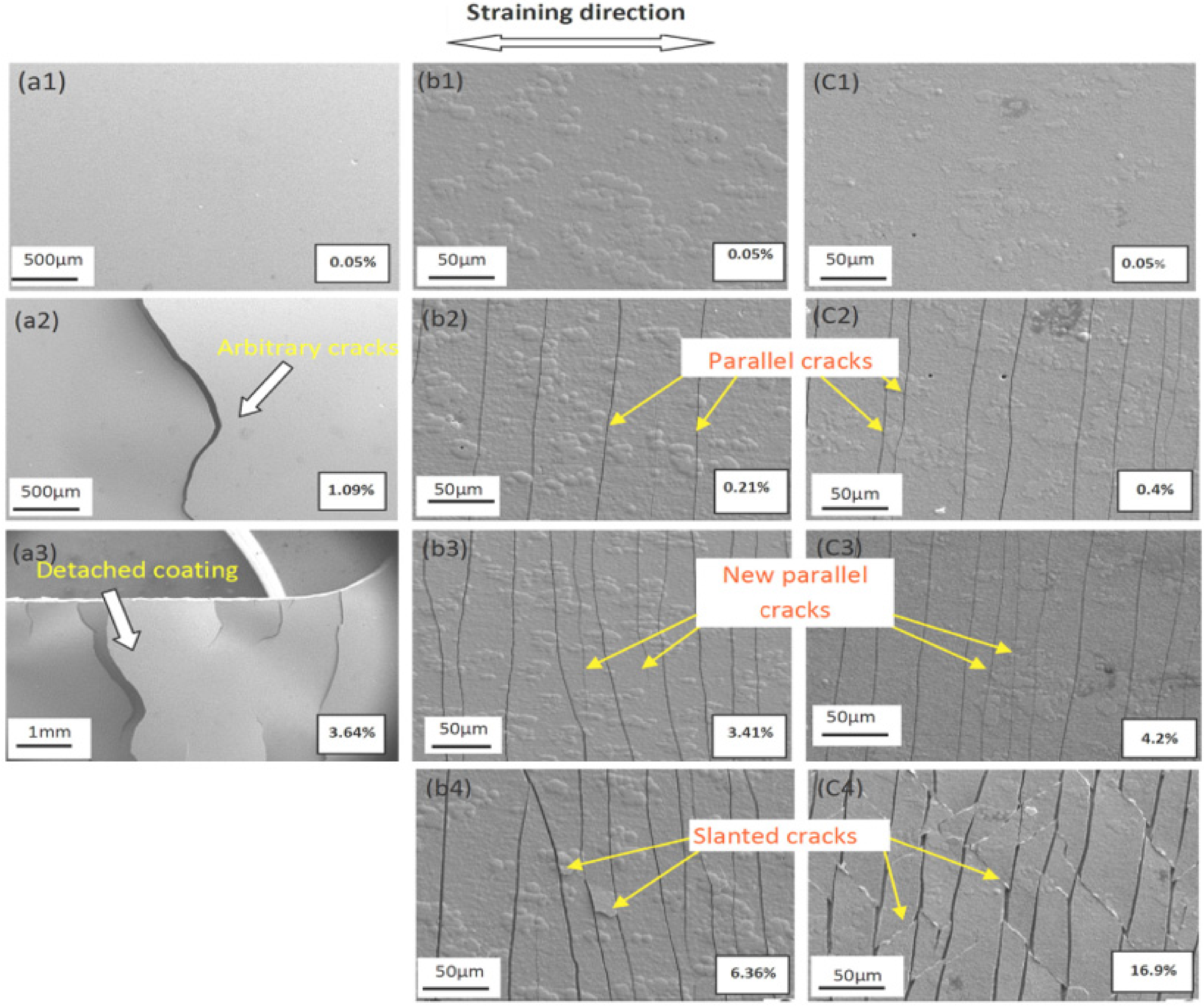 Coatings 12 00299 g005