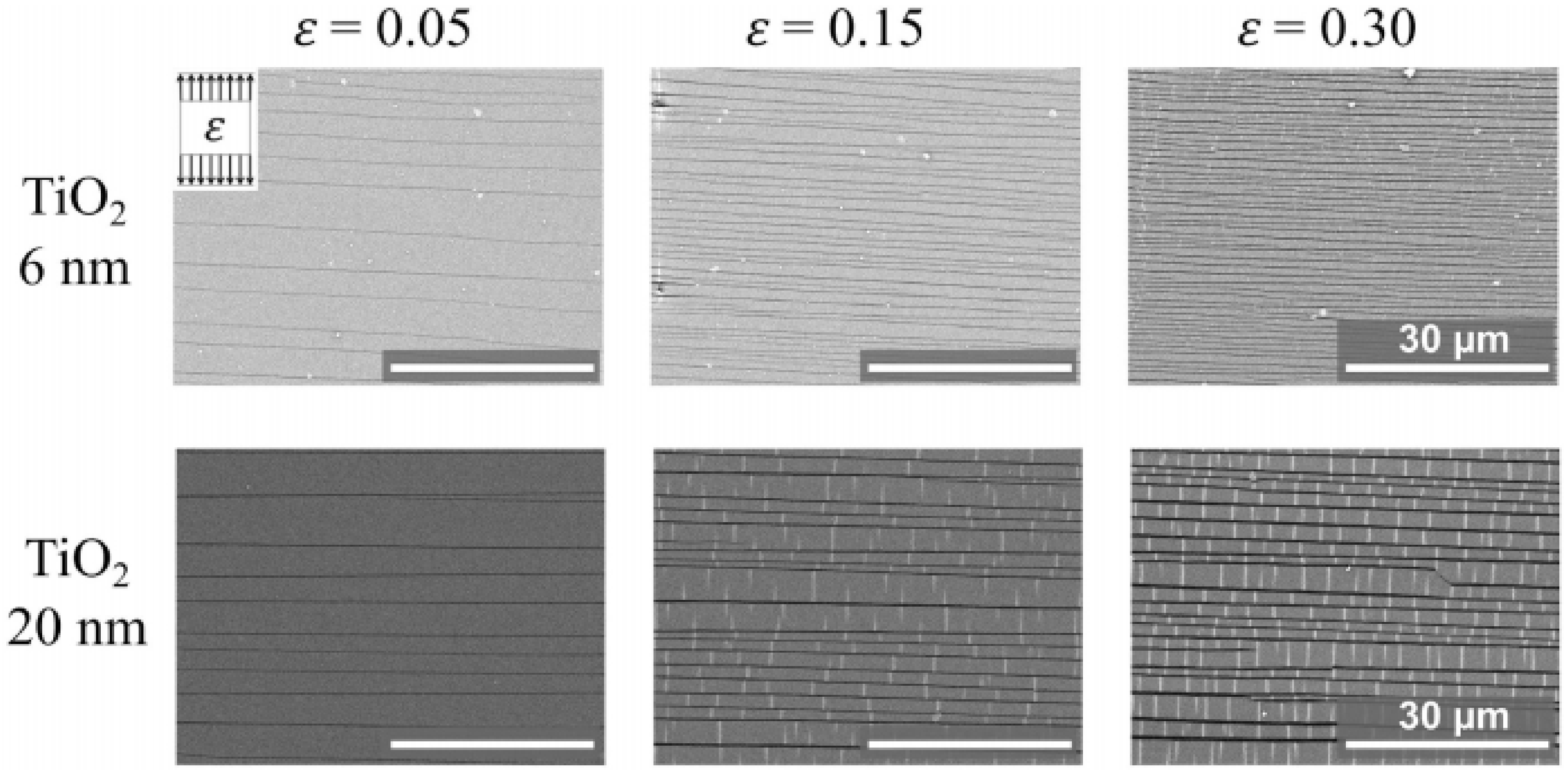 Coatings 12 00299 g007