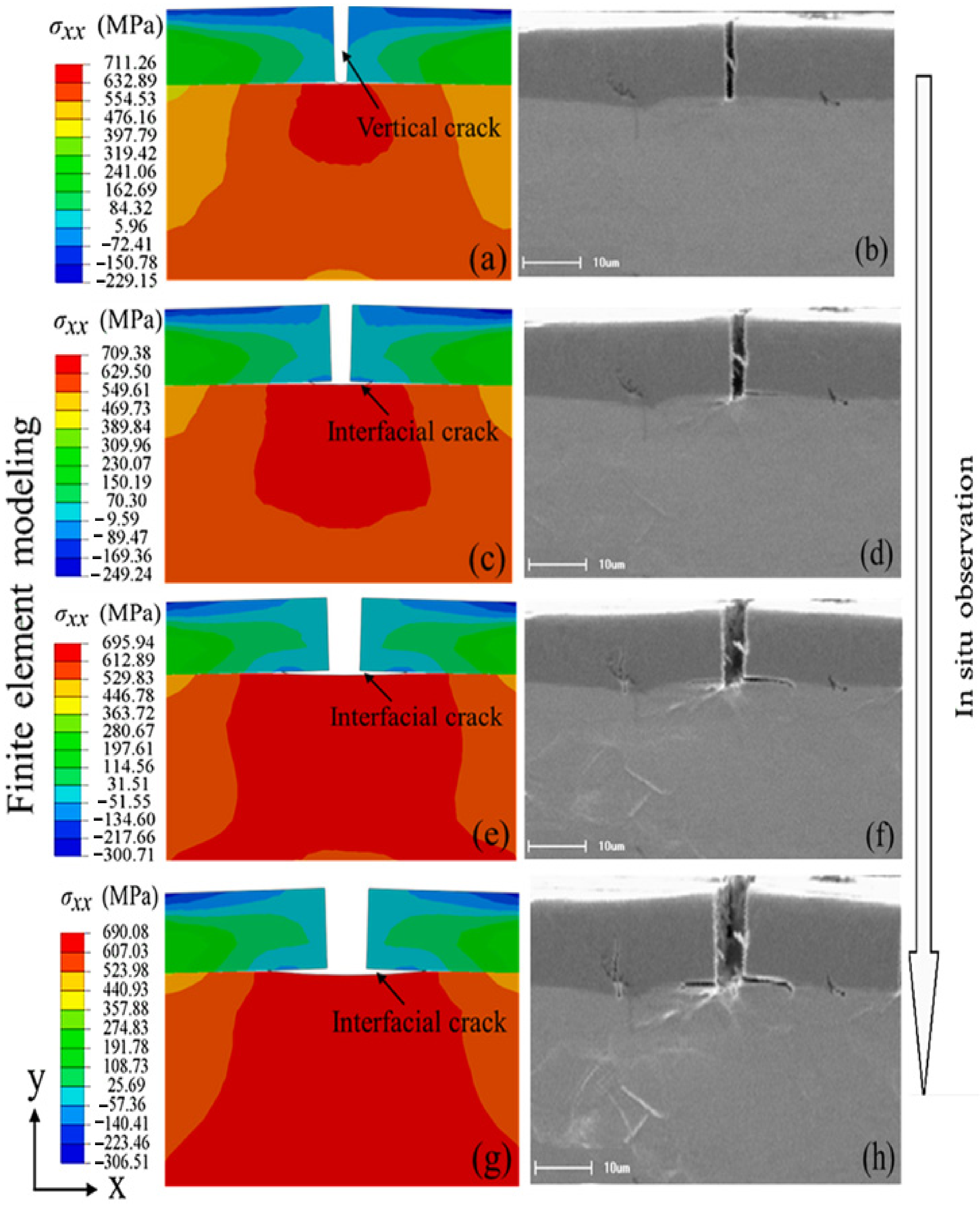 Coatings 12 00299 g019