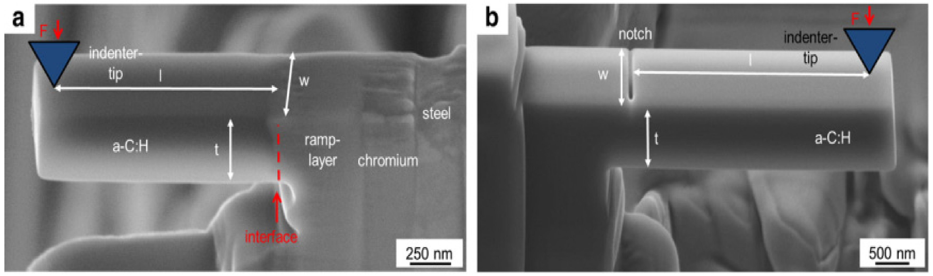 Coatings 12 00299 g021