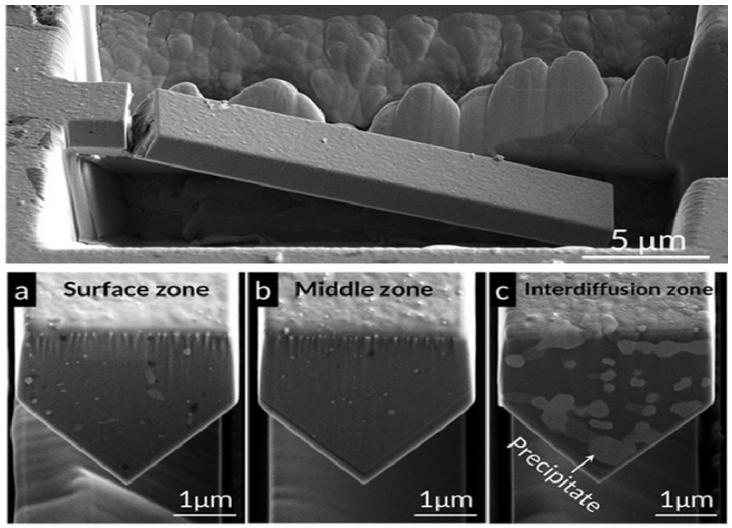 Coatings 12 00299 g022