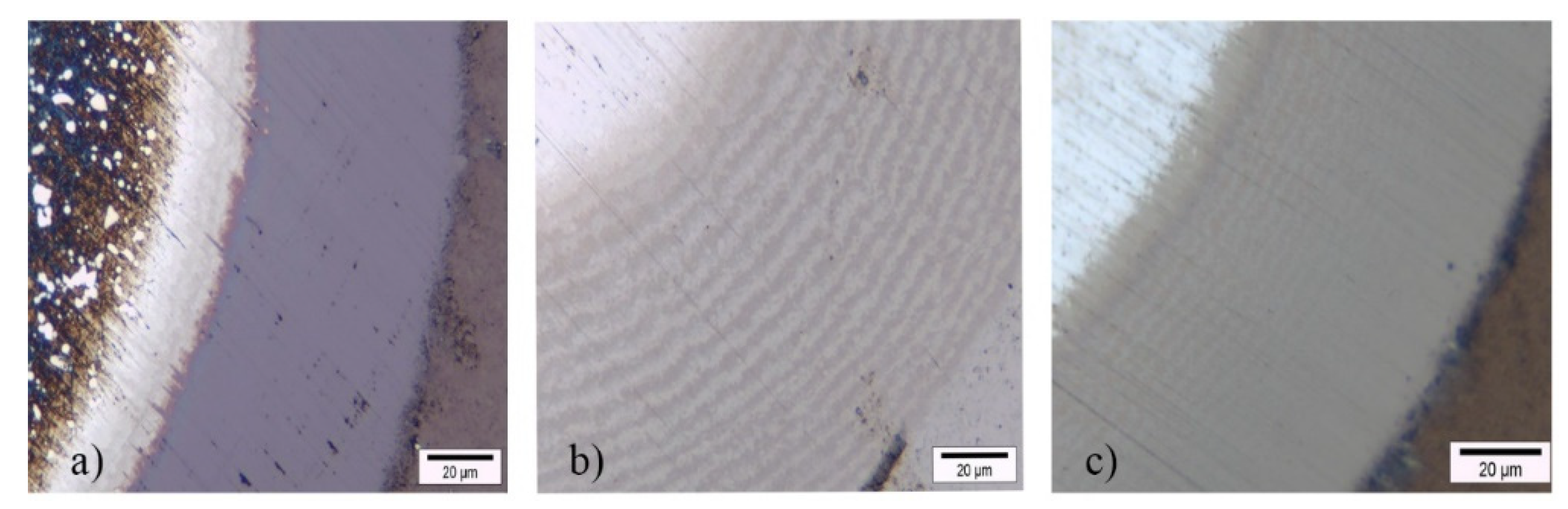 Coatings 12 00300 g008 550