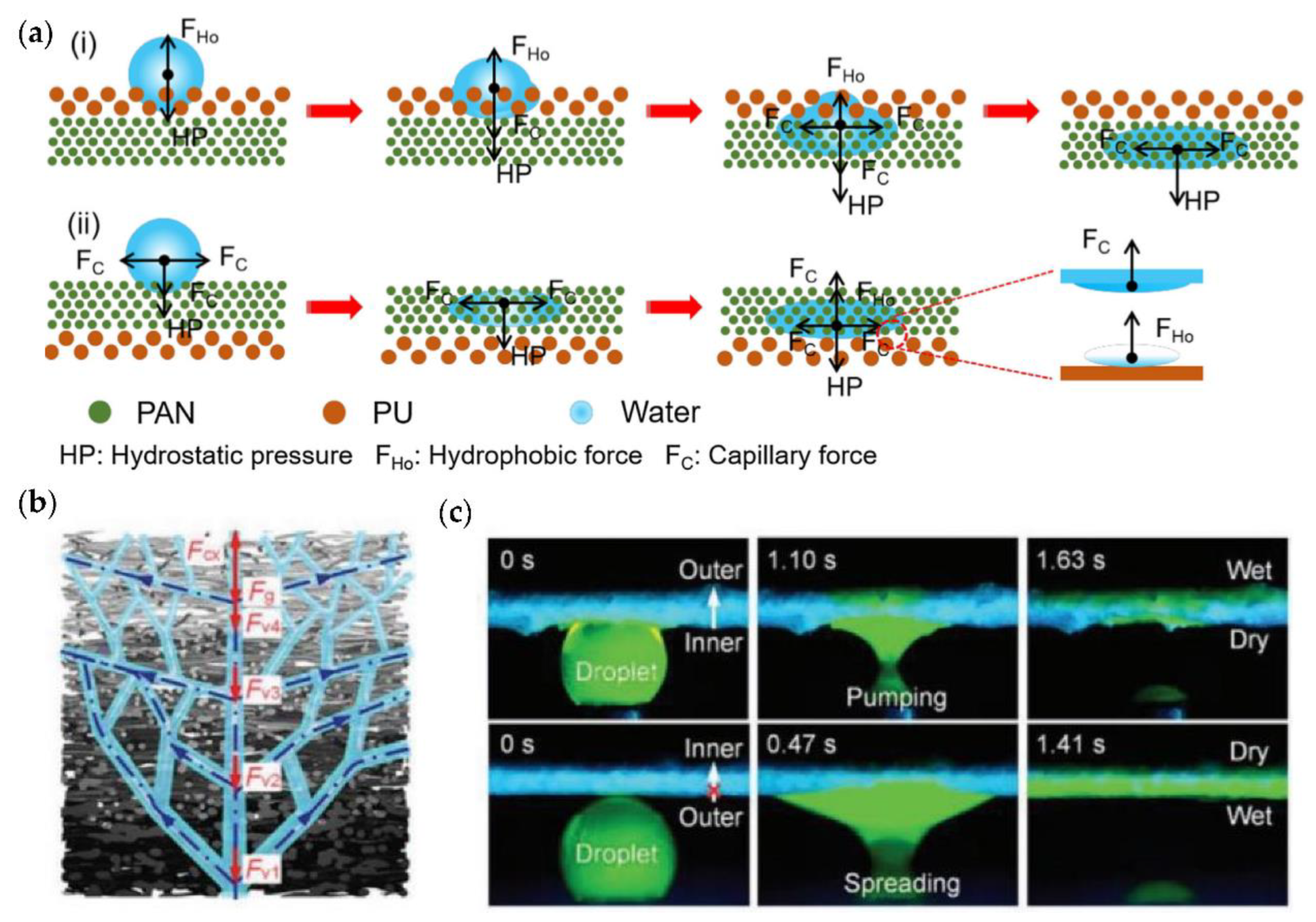 Coatings 12 00301 g002 550