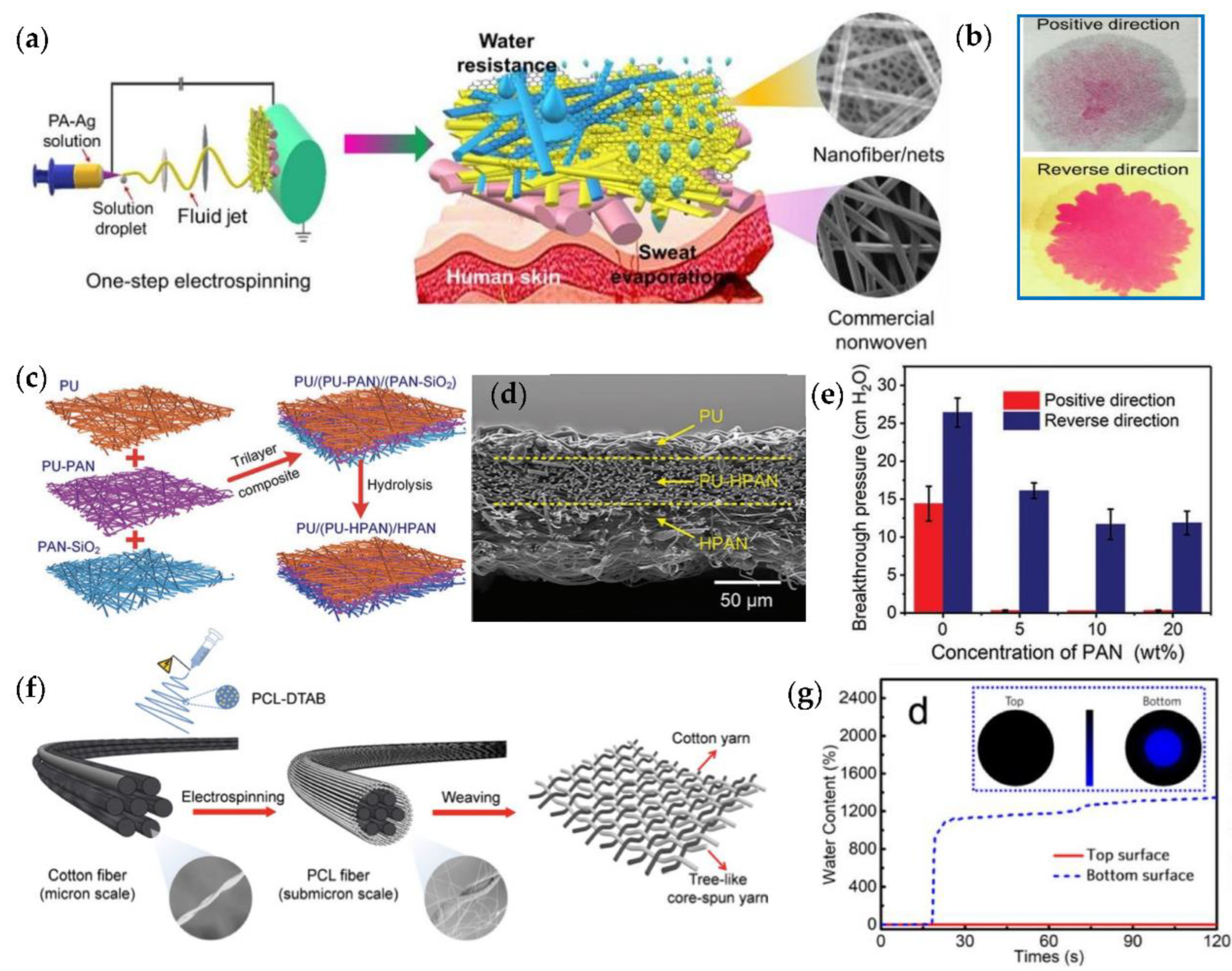 Coatings 12 00301 g007 550