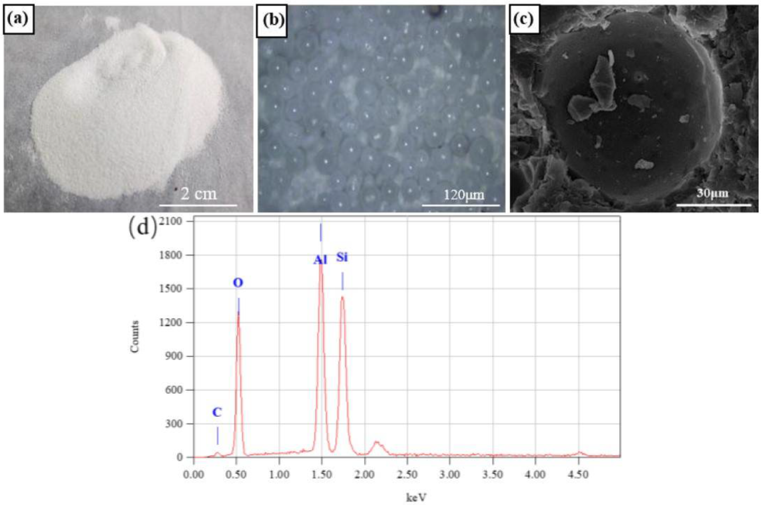 Coatings 12 00304 g002 550