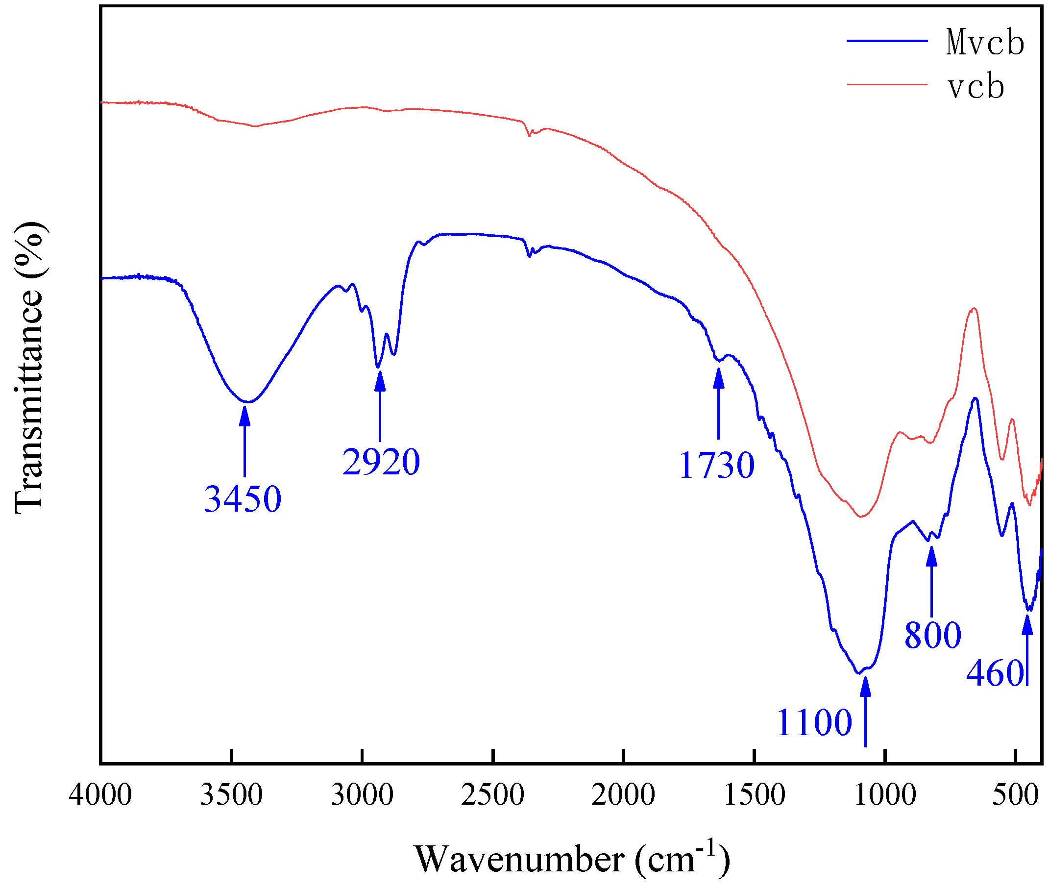 Coatings 12 00304 g004 550