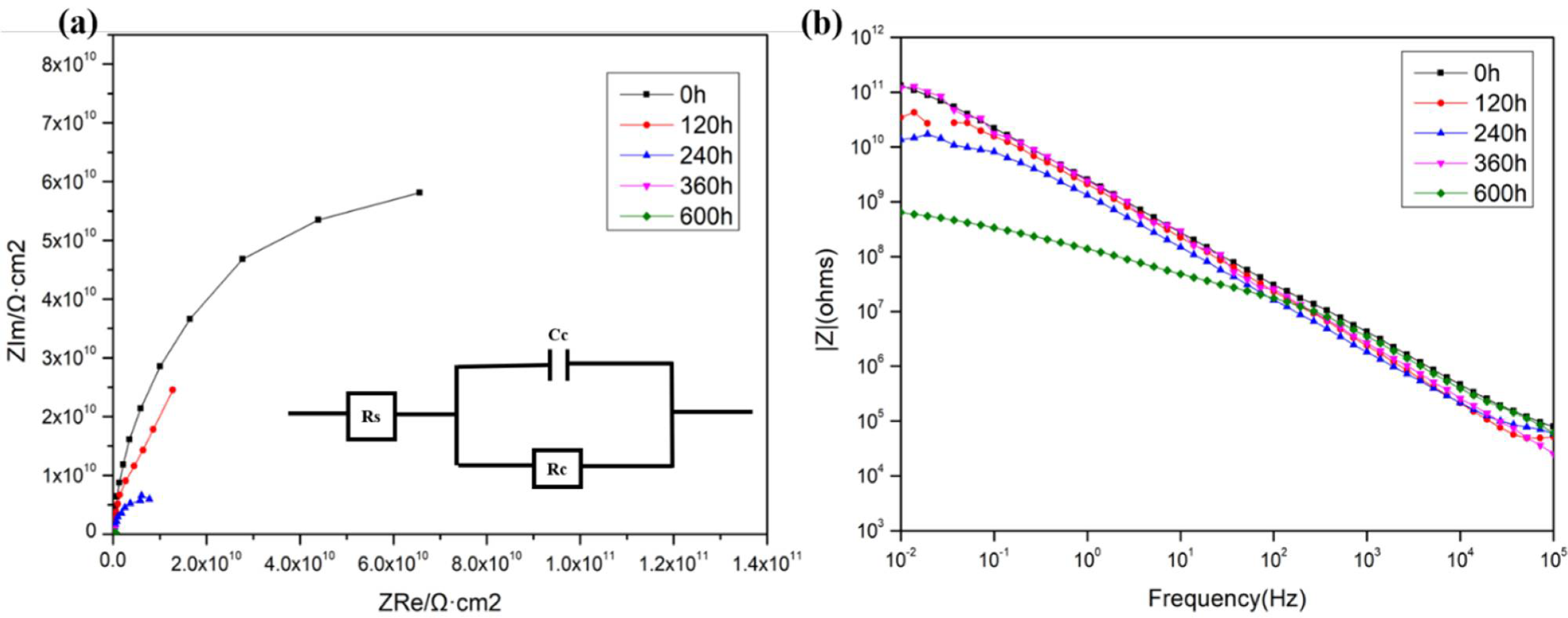 Coatings 12 00304 g010 550