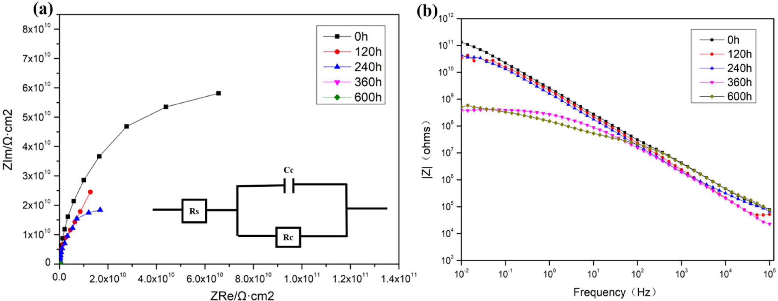 Coatings 12 00304 g012 550