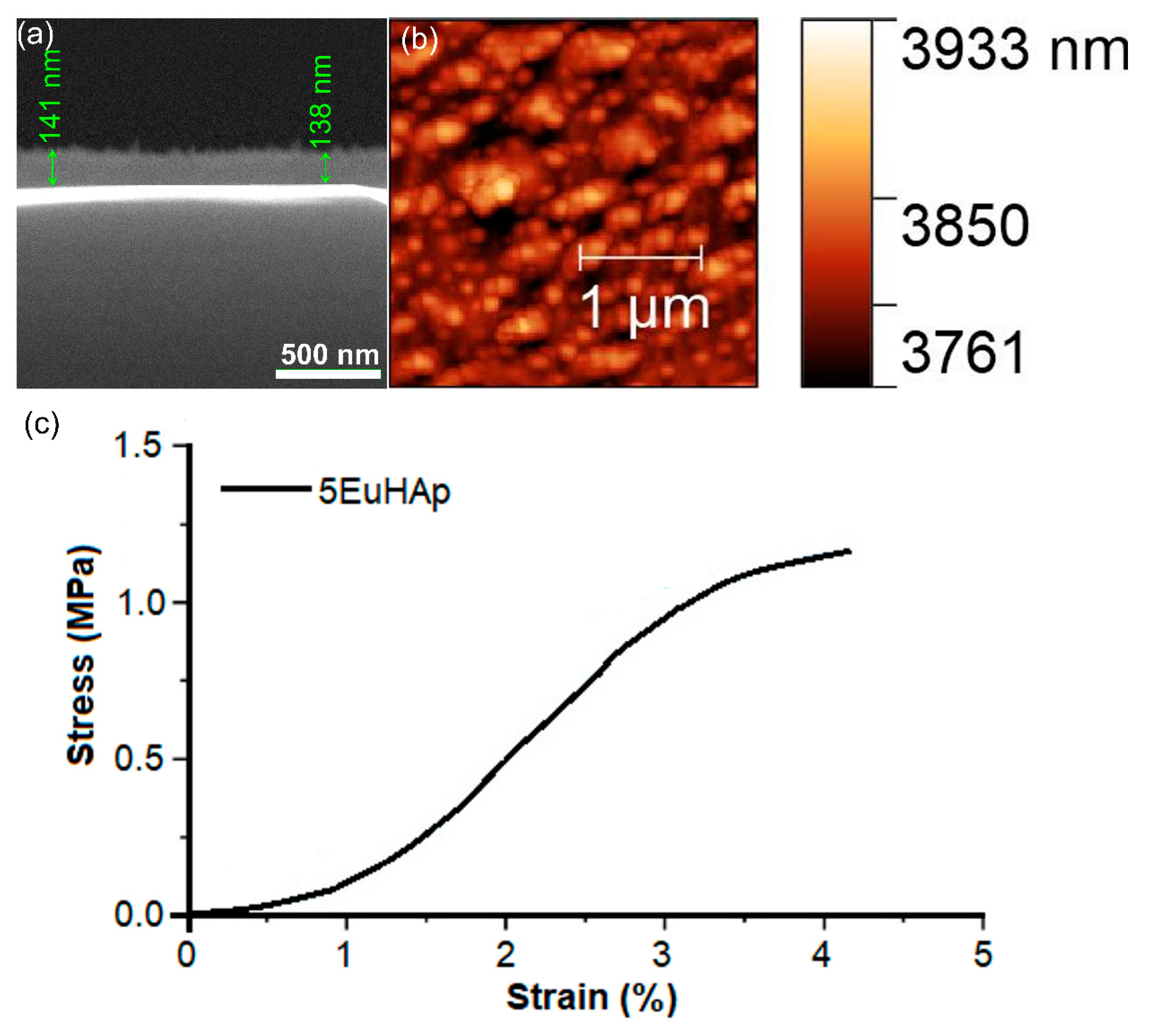 Coatings 12 00306 g004 550