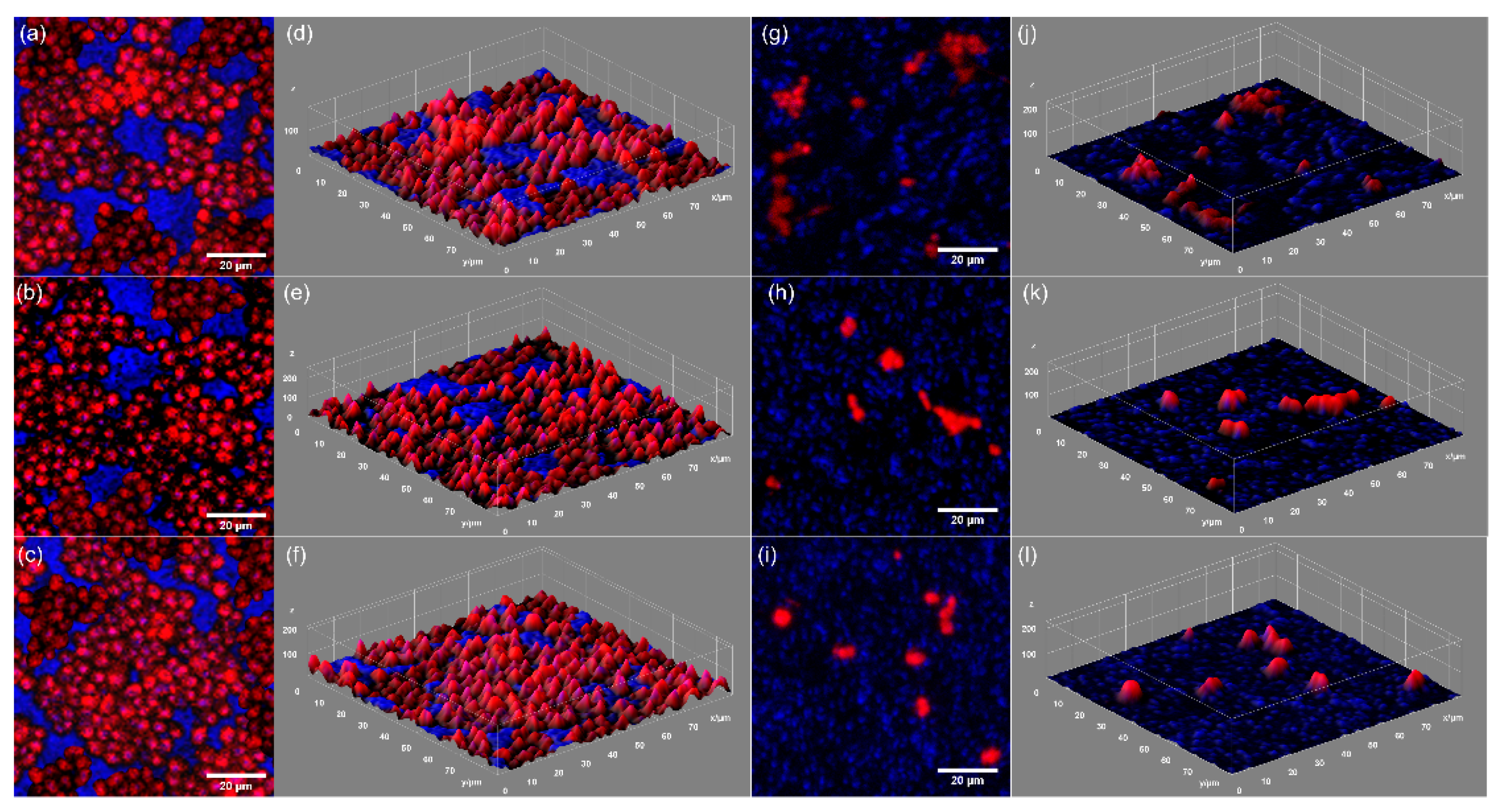 Coatings 12 00306 g010 550