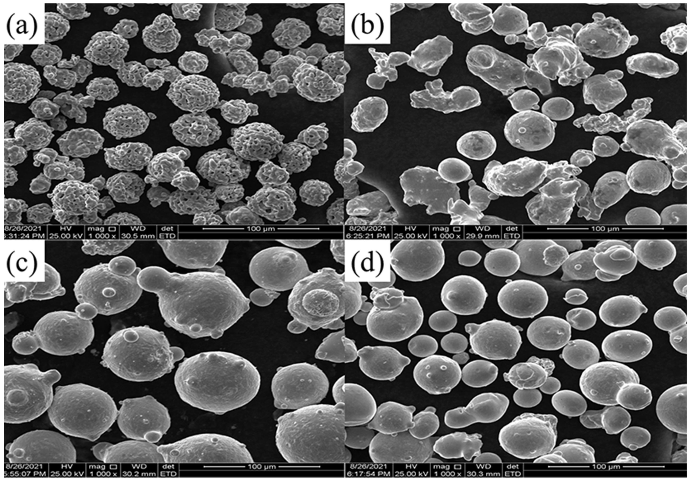 Coatings 12 00307 g001