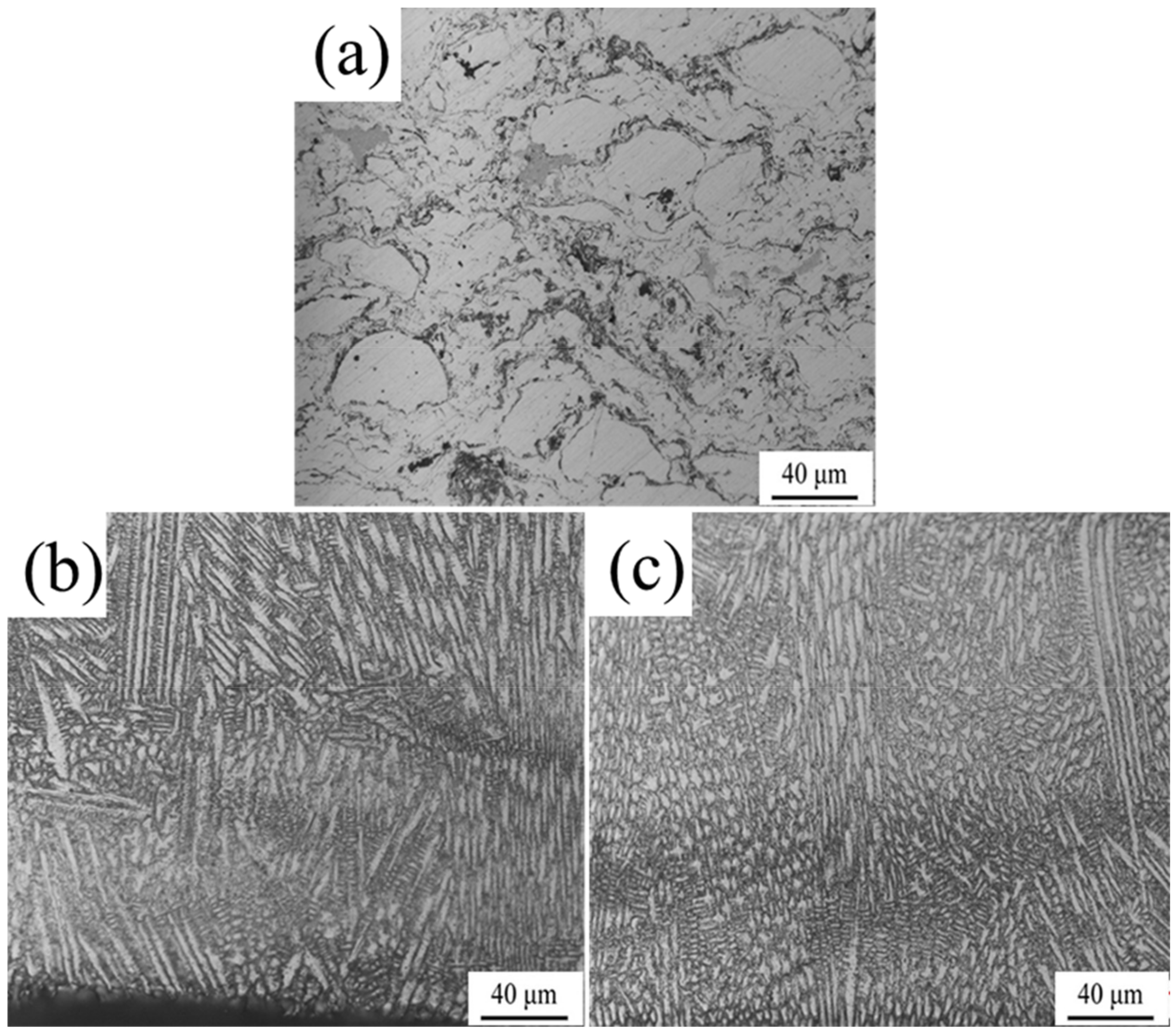 Coatings 12 00307 g005