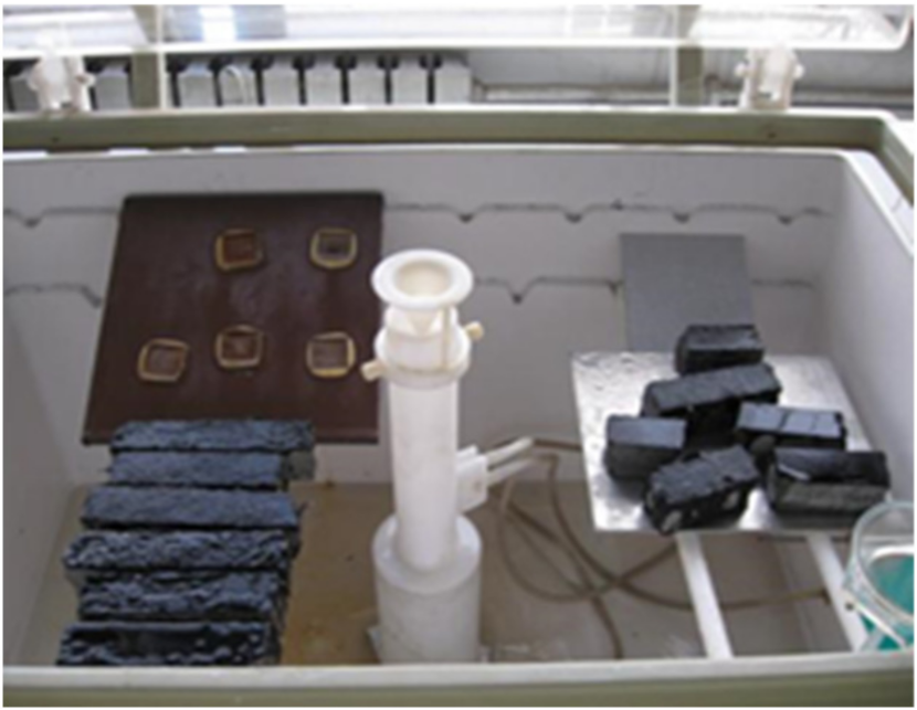 Coatings 12 00308 g006 550