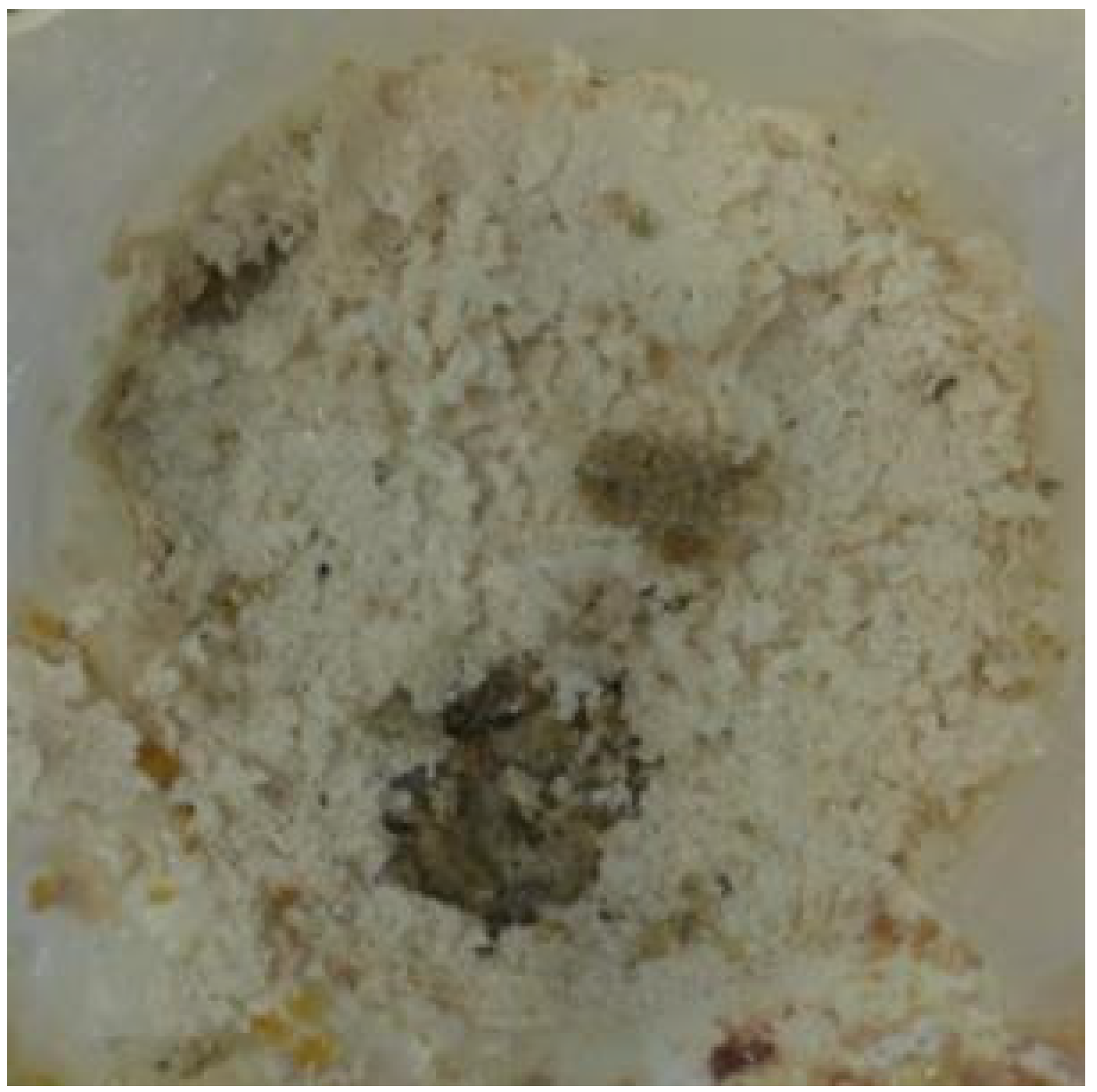 Coatings 12 00309 g009 550