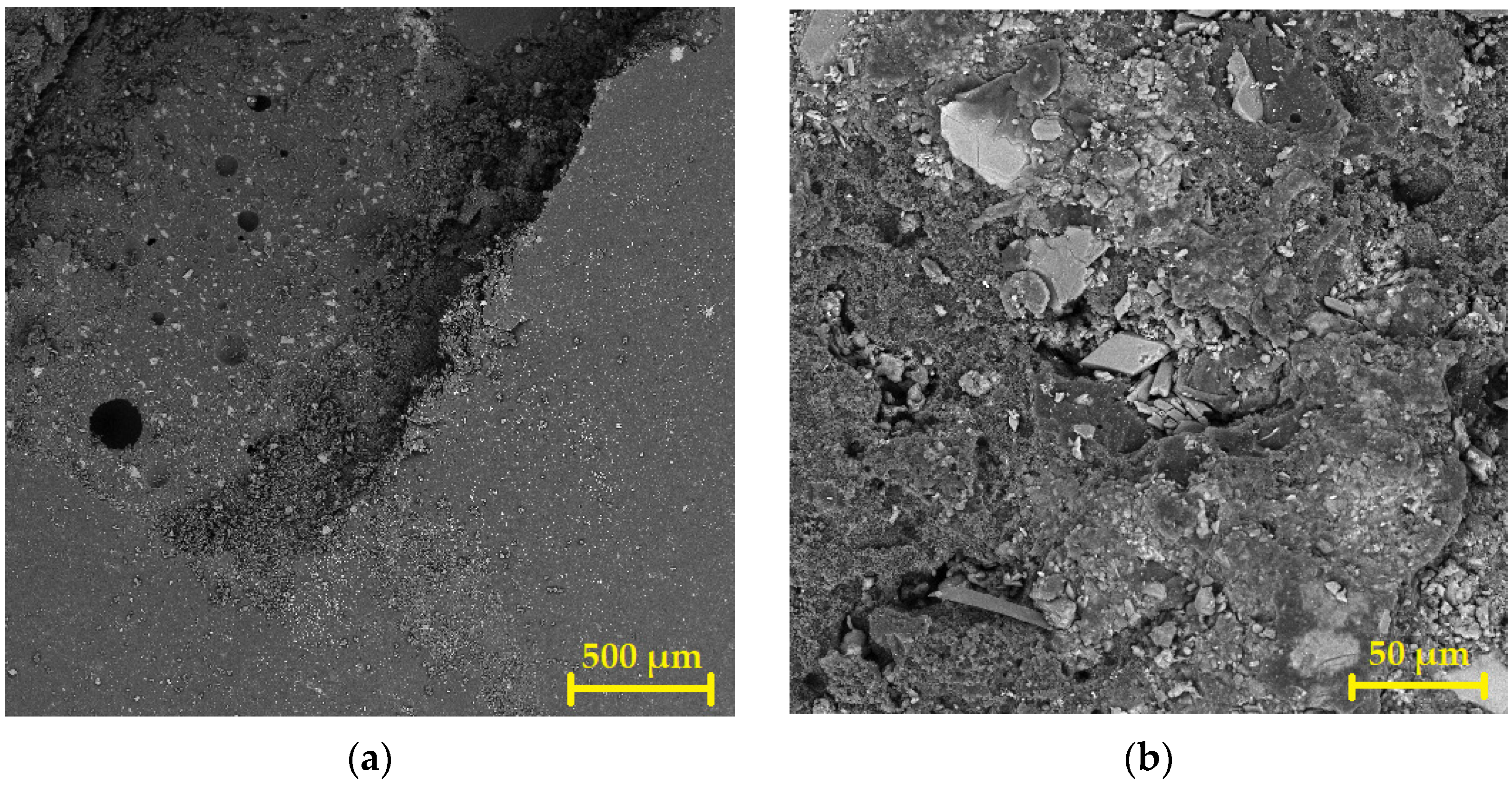 Coatings 12 00309 g012 550