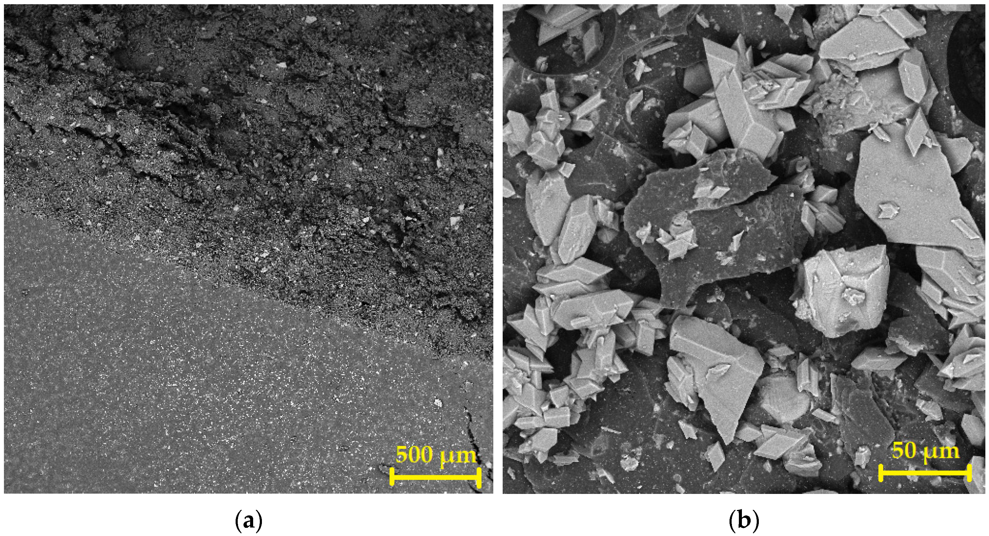 Coatings 12 00309 g014 550