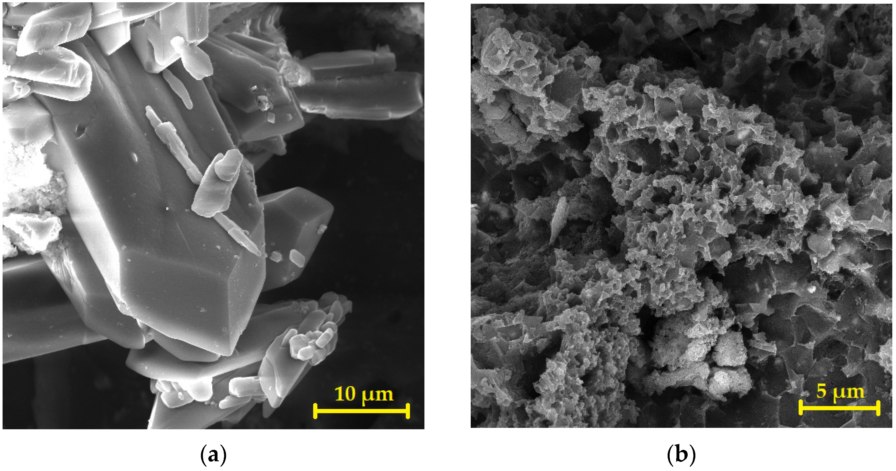 Coatings 12 00309 g015 550