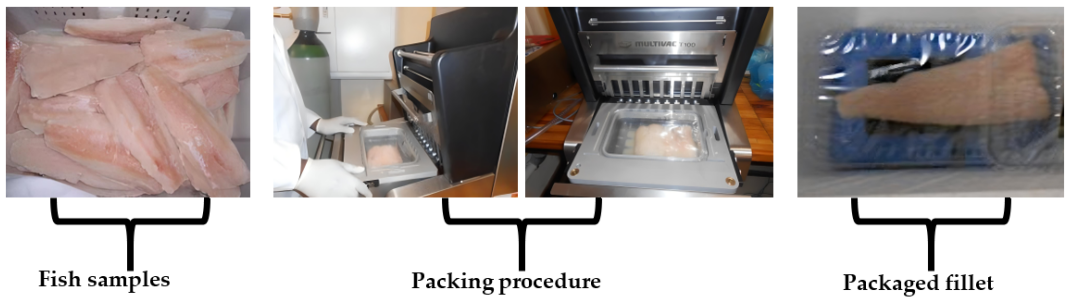 Coatings 12 00310 g001 550