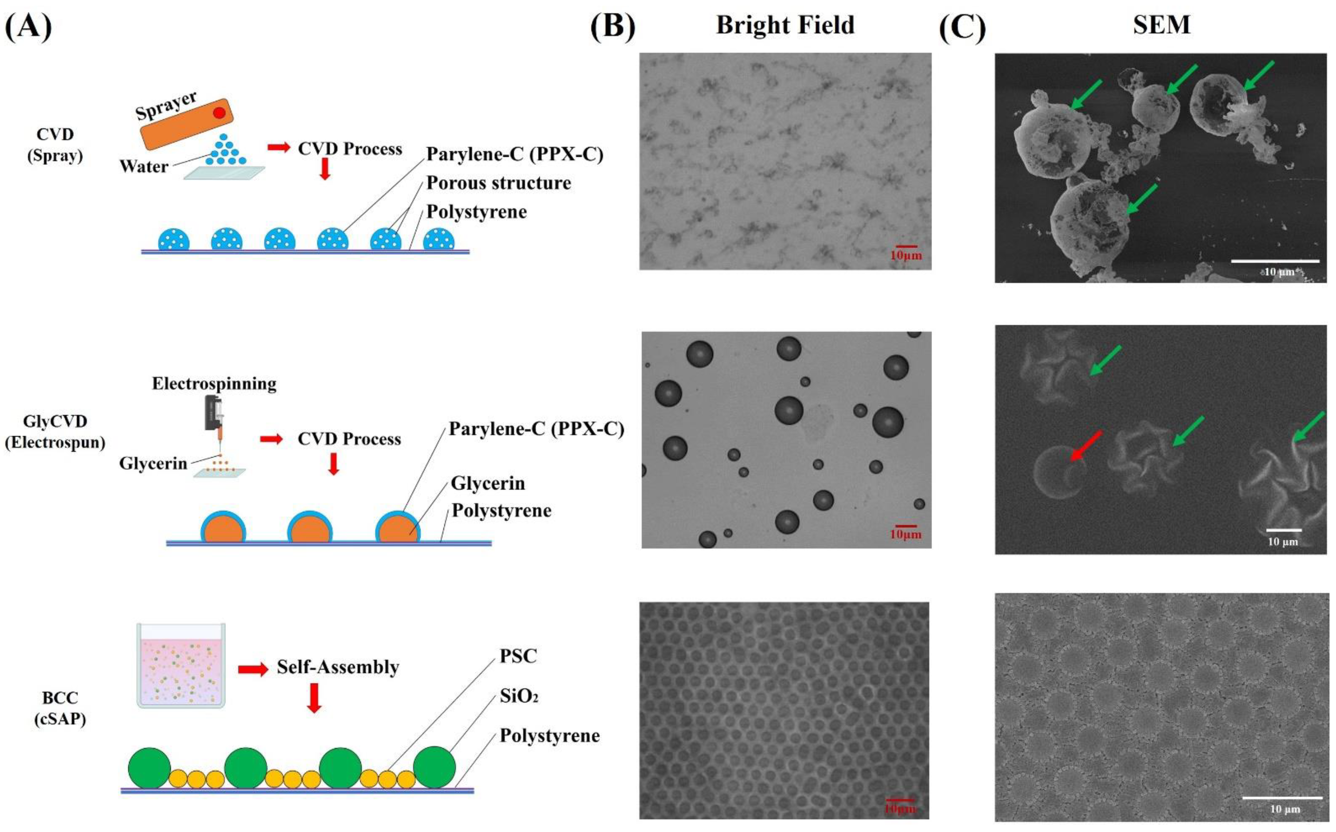 Coatings 12 00311 g001 550