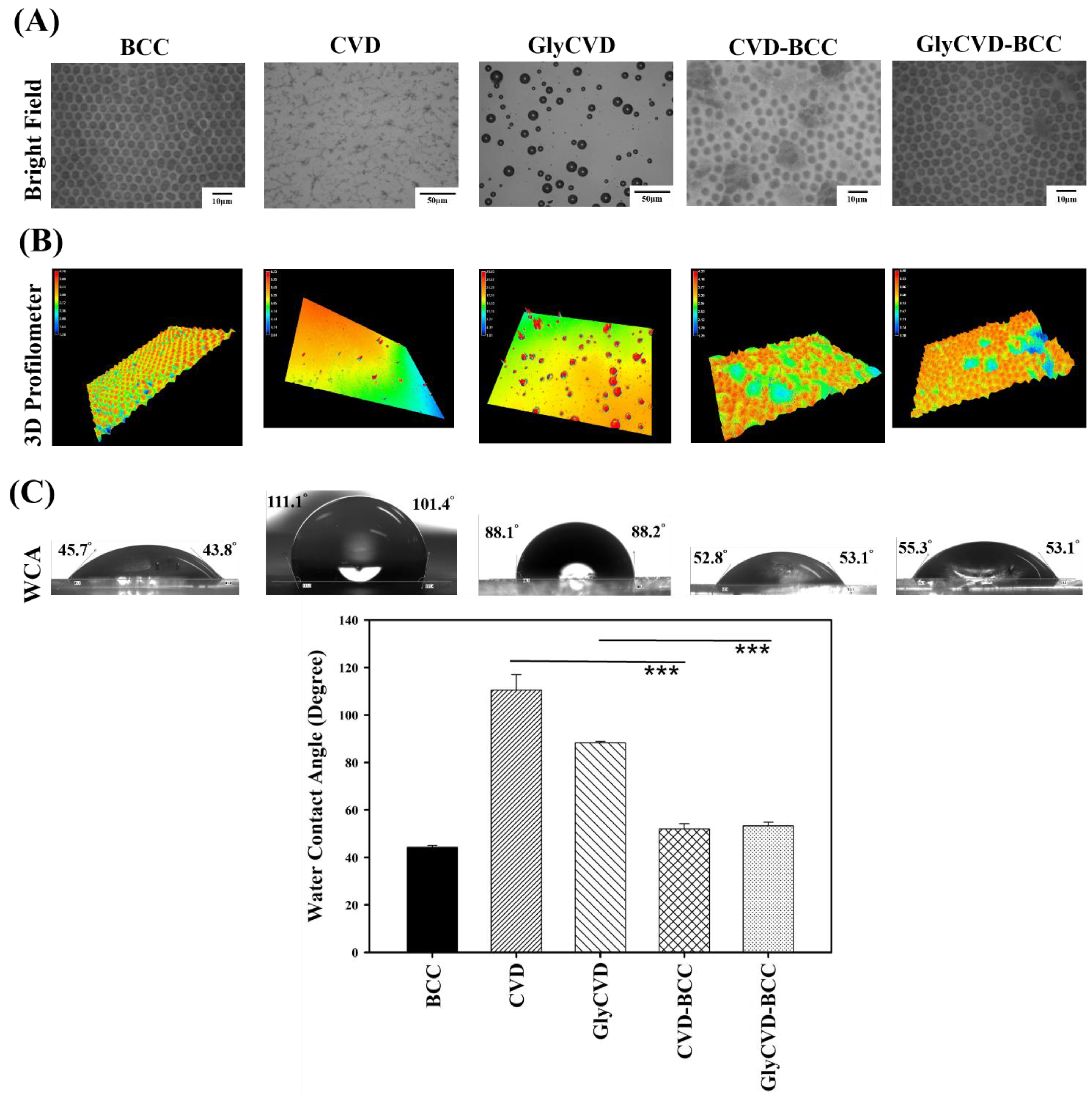Coatings 12 00311 g002 550