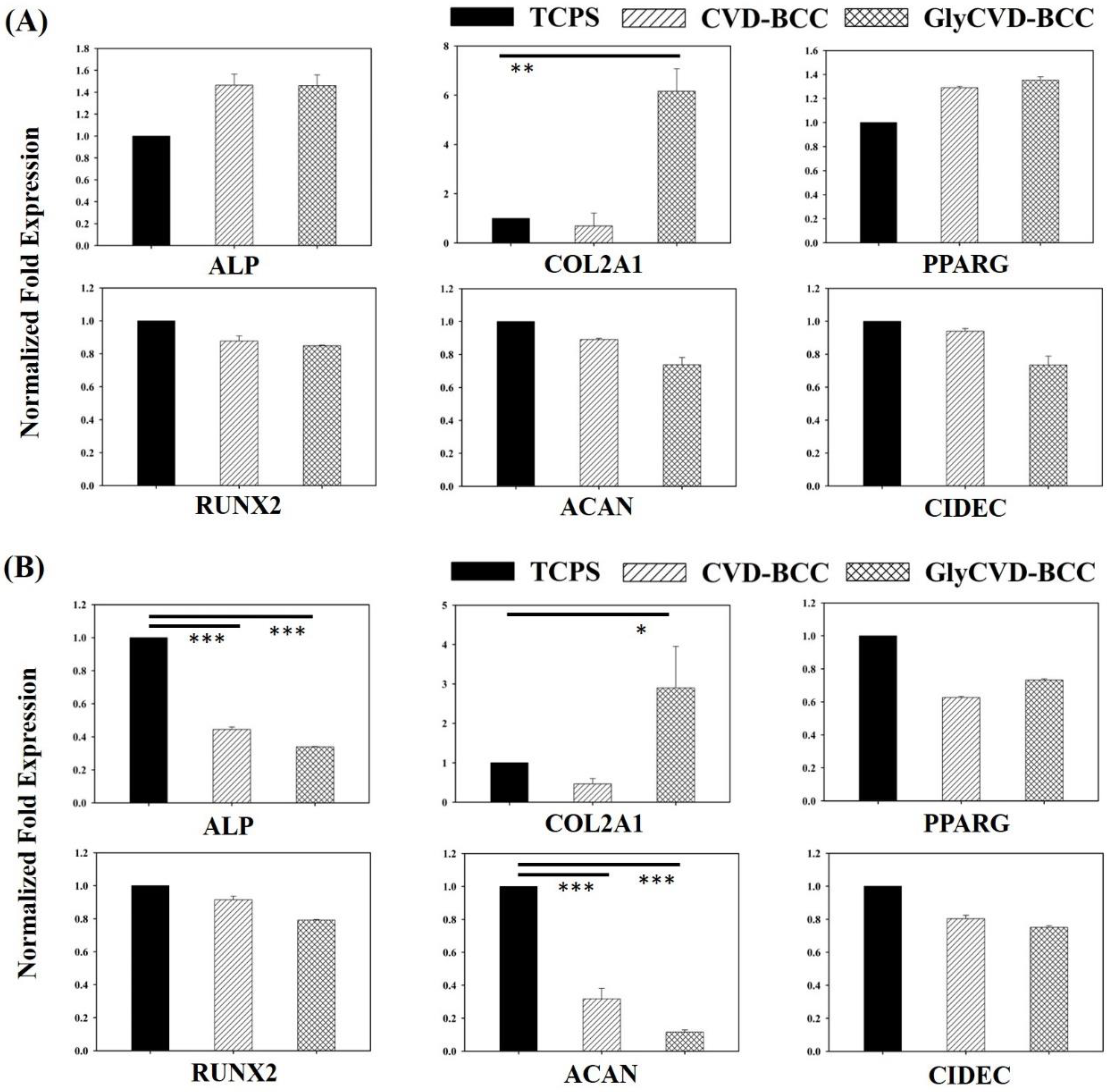 Coatings 12 00311 g006 550