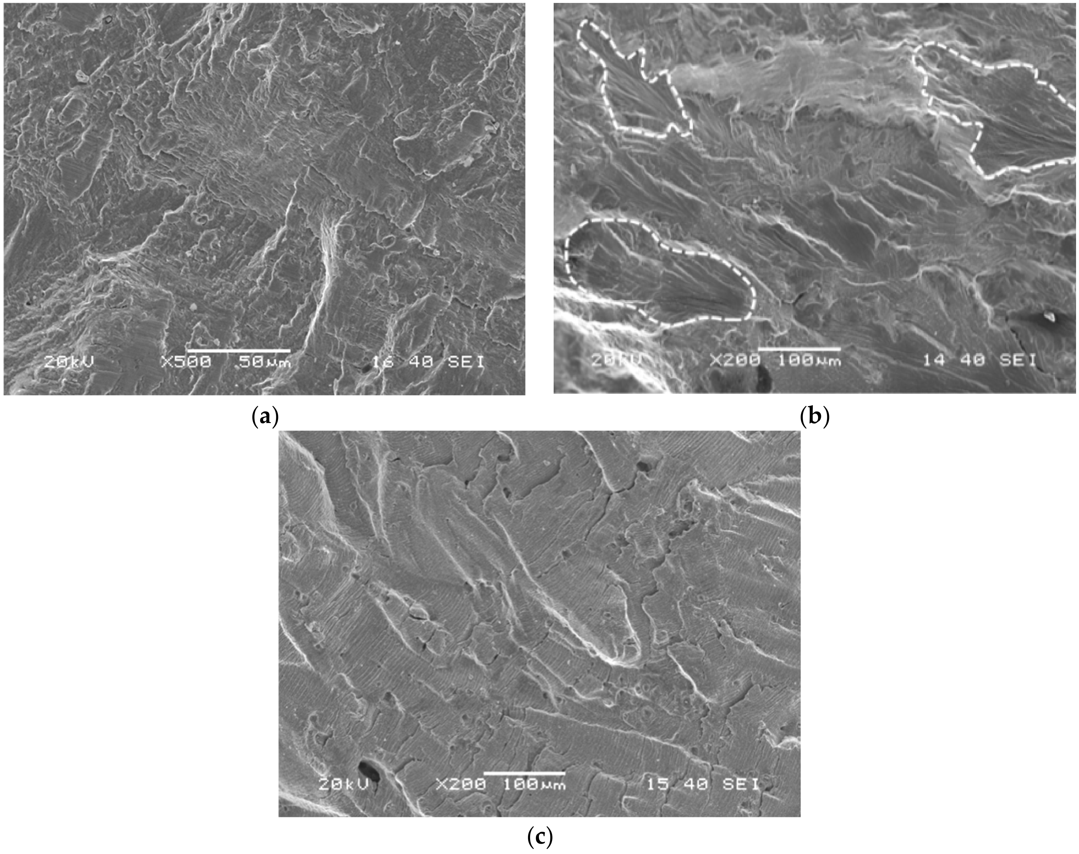 Coatings 12 00317 g006 Coatings 12 00317 g006