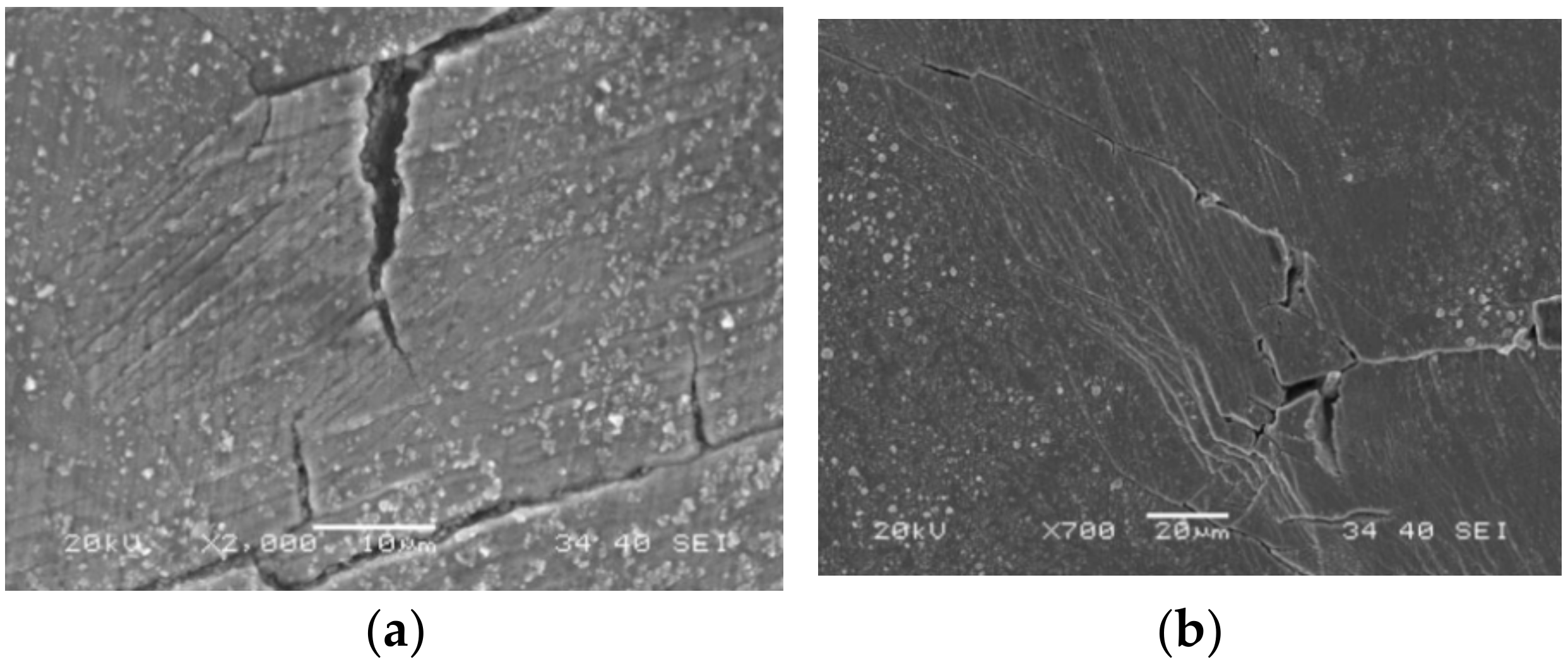 Coatings 12 00317 g008a Coatings 12 00317 g008a